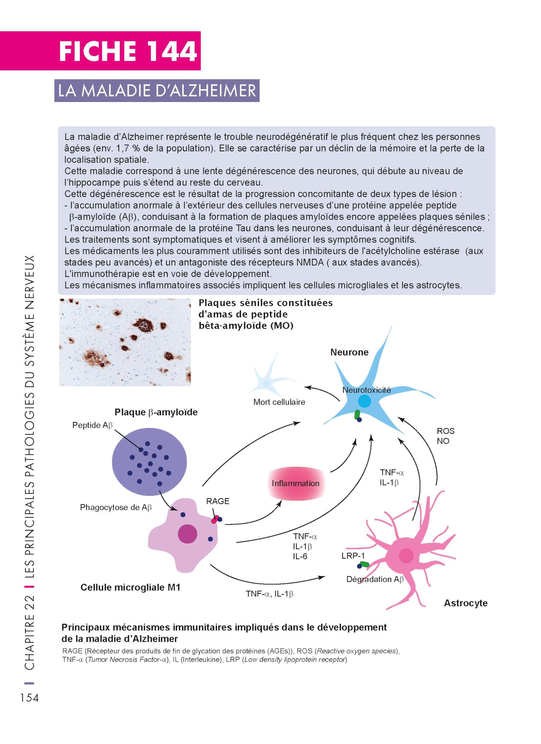 Mémo visuel de neurosciences - 2e éd.: Du neurone aux sciences cognitives