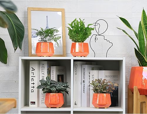 Miniatura 5 de Maceta de cerámica de 6 pulgadas + 4 pulgadas para plantas de interior, macetas con orificio de drenaje, maceta minimalista moderna para suculentas