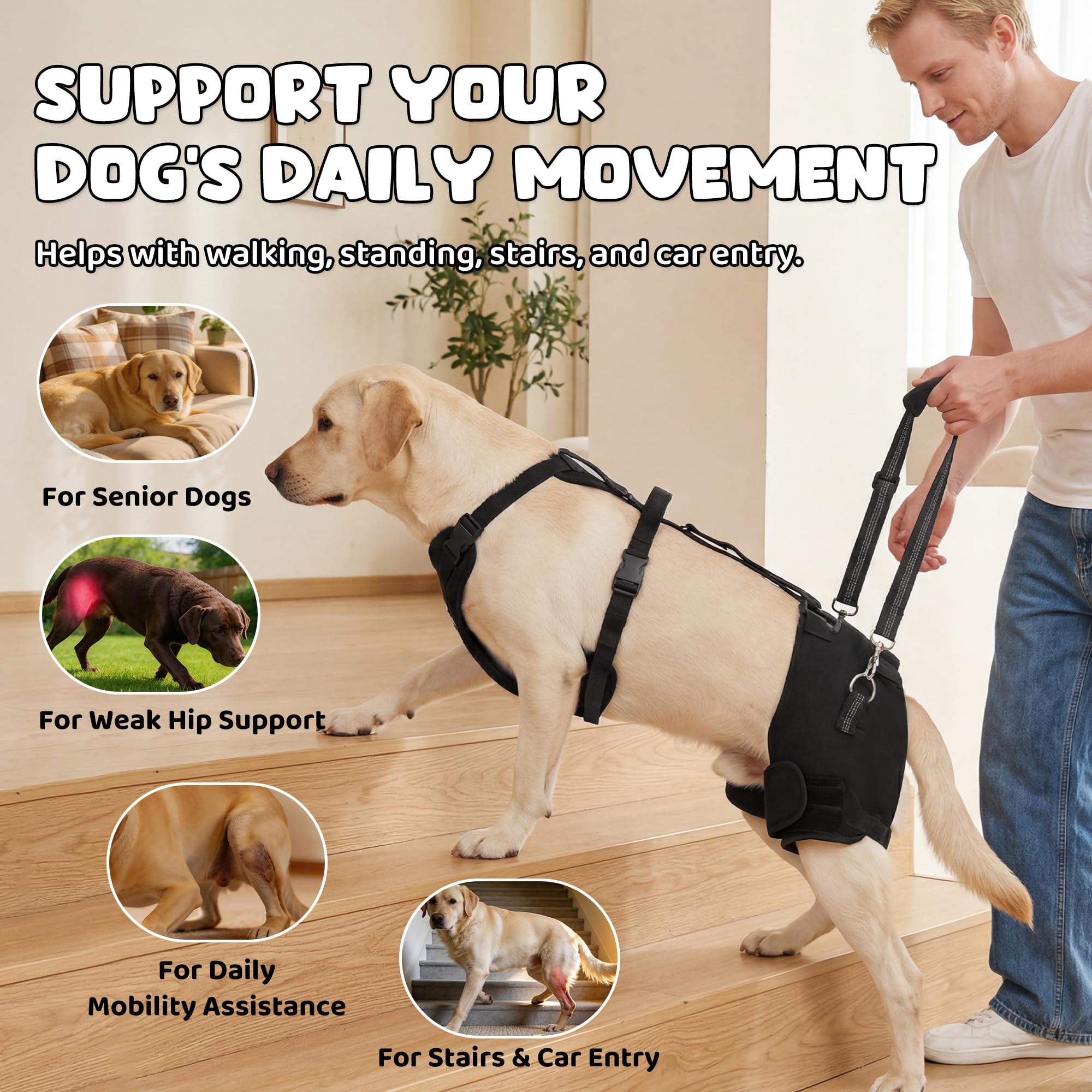 BALAPET BALAPET - Arnés de soporte de cadera para perro con mango de elevación, soporte de cadera ajustable para perros grandes, almohadillas suaves extraíbles para la cadera, arnés de asistencia de