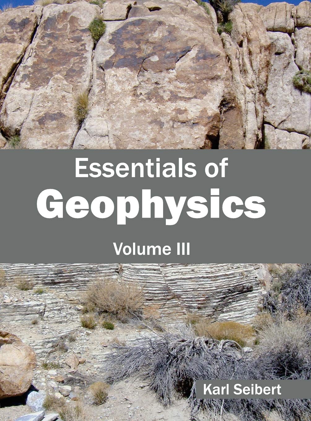 Essentials of Geophysics: Volume III: 3