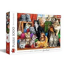 Puzzles – 1000″ – Katzentreffen