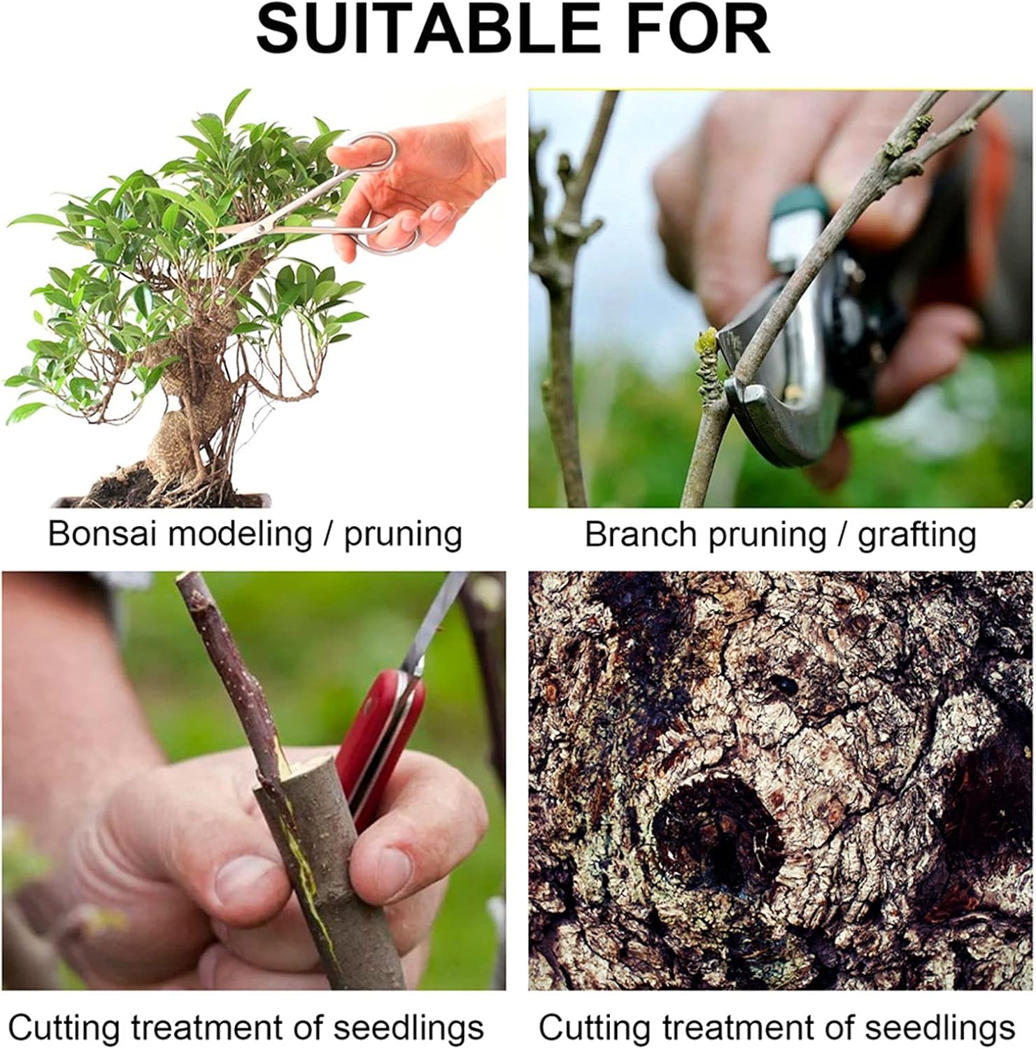Buy Pruning Sealer, Bonsai Cut Paste Tree Wound Dressing Tree Wound Cut