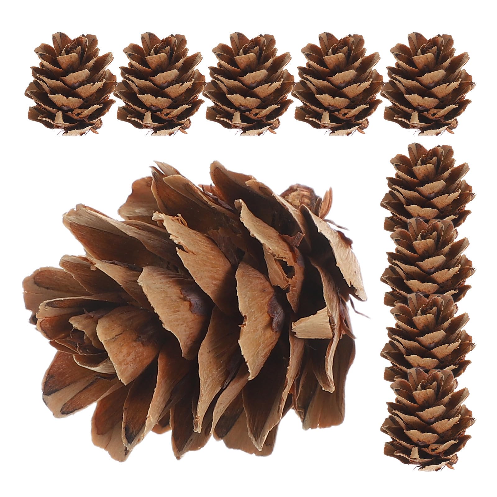 1 Schachtel Rustikale Kleine Kiefernzapfen als Weihnachtsdeko