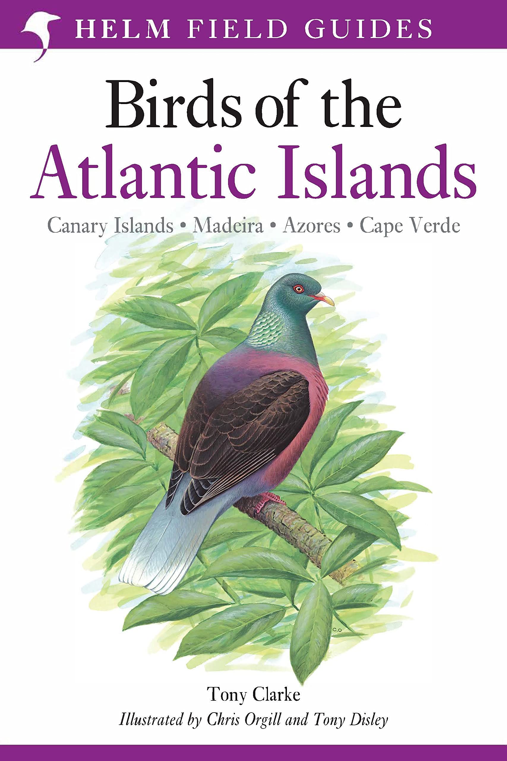 Field Guide to the Birds of the Atlantic Islands: Canary Islands, Madeira, Azores, Cape Verde (Helm Field Guides)