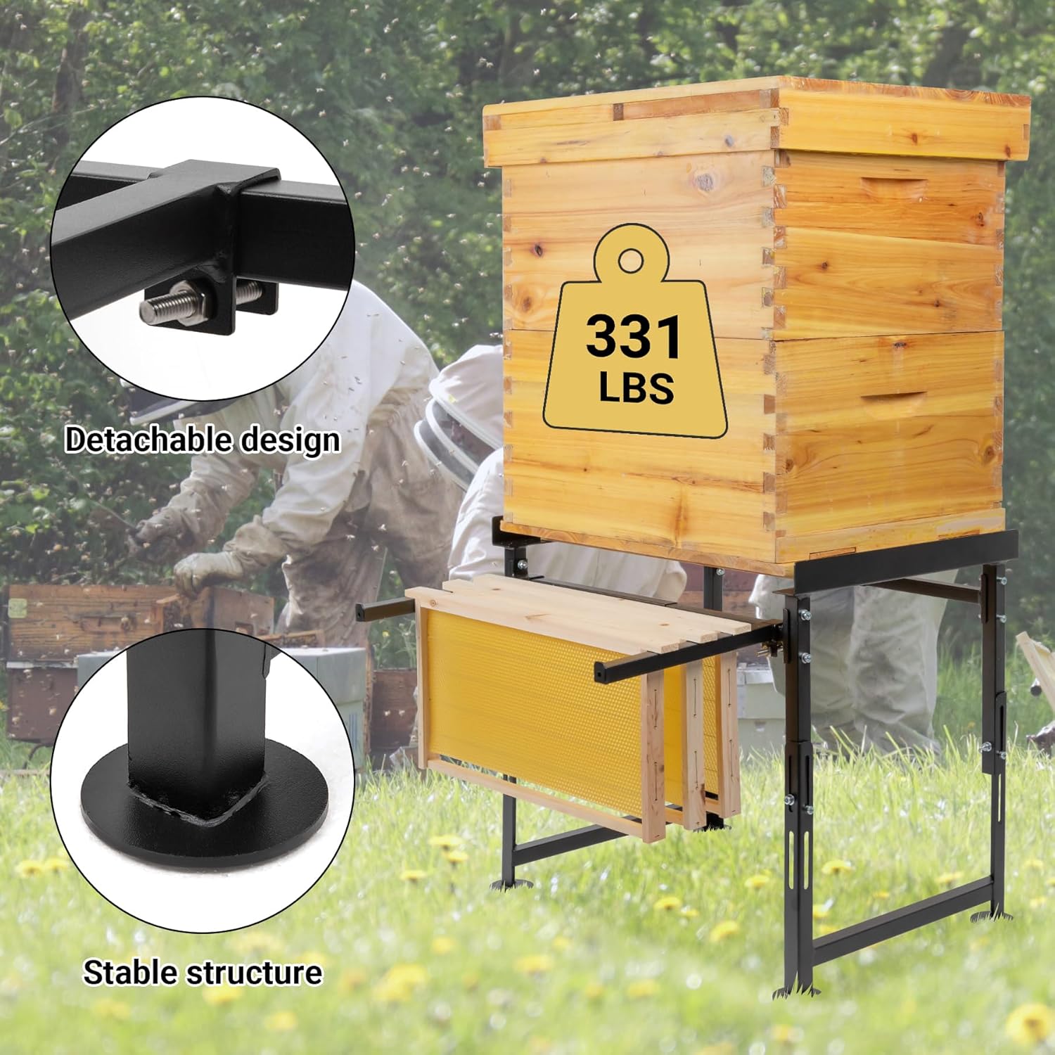 https://m.media-amazon.com/images/I/81u+F9eeQoL._SL1500_.jpg