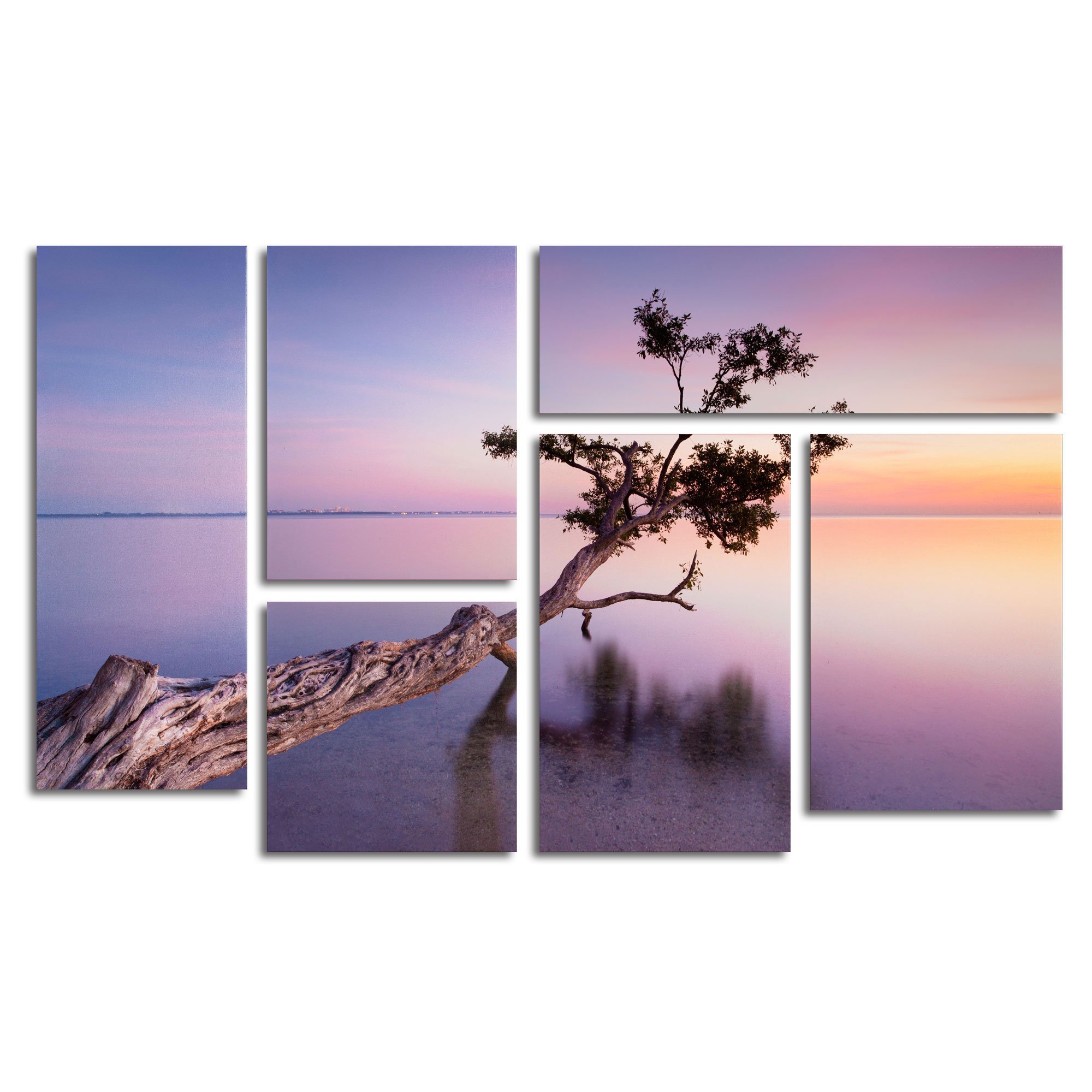 Trademark Fine Art Water Tree XV by Moises Levy Wall Decor 6-Panel Set