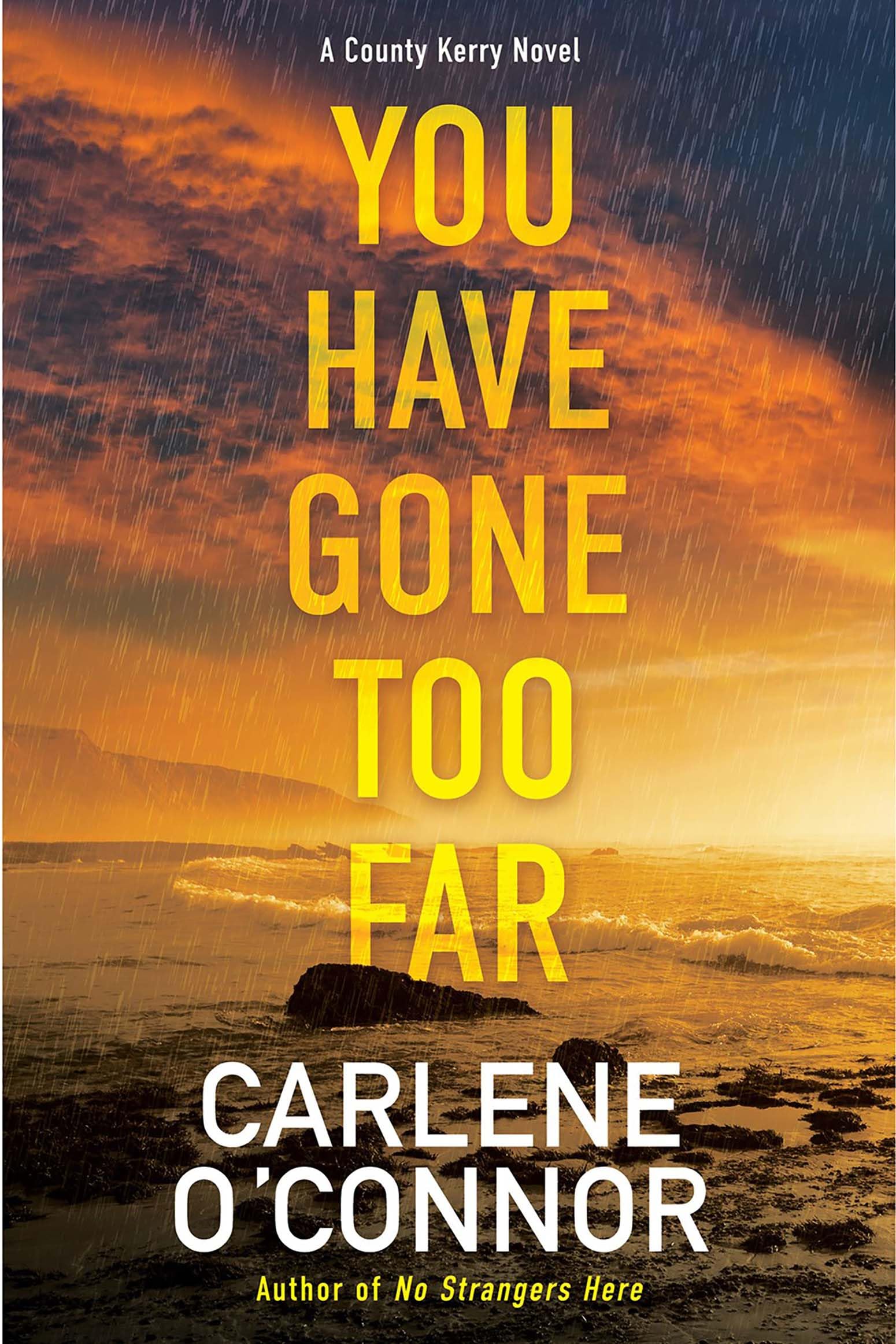 You Have Gone Too Far (A County Kerry Novel Book 3)