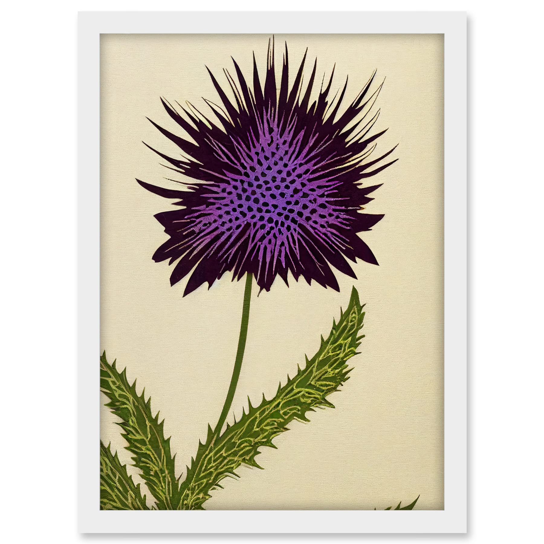 Wee Blue Coo Stylized Modern Purple Scottish Thistle Flower Illustration Artwork Framed A3 Wall Art Print