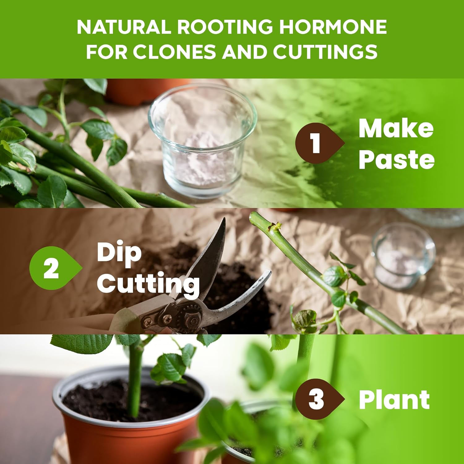 Big Foot Probiotic Root Boost Water Soluble Powder For Established Plants and Transplants - GROW ROOT SIZE, Increase Nitrogen, Grow New Plants from Cuttings, Pea Inoculant - 5 Ounces - Image 8