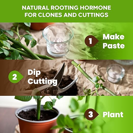 Big Foot Probiotic Root Boost Polvo Soluble 2 oz miniatura 6