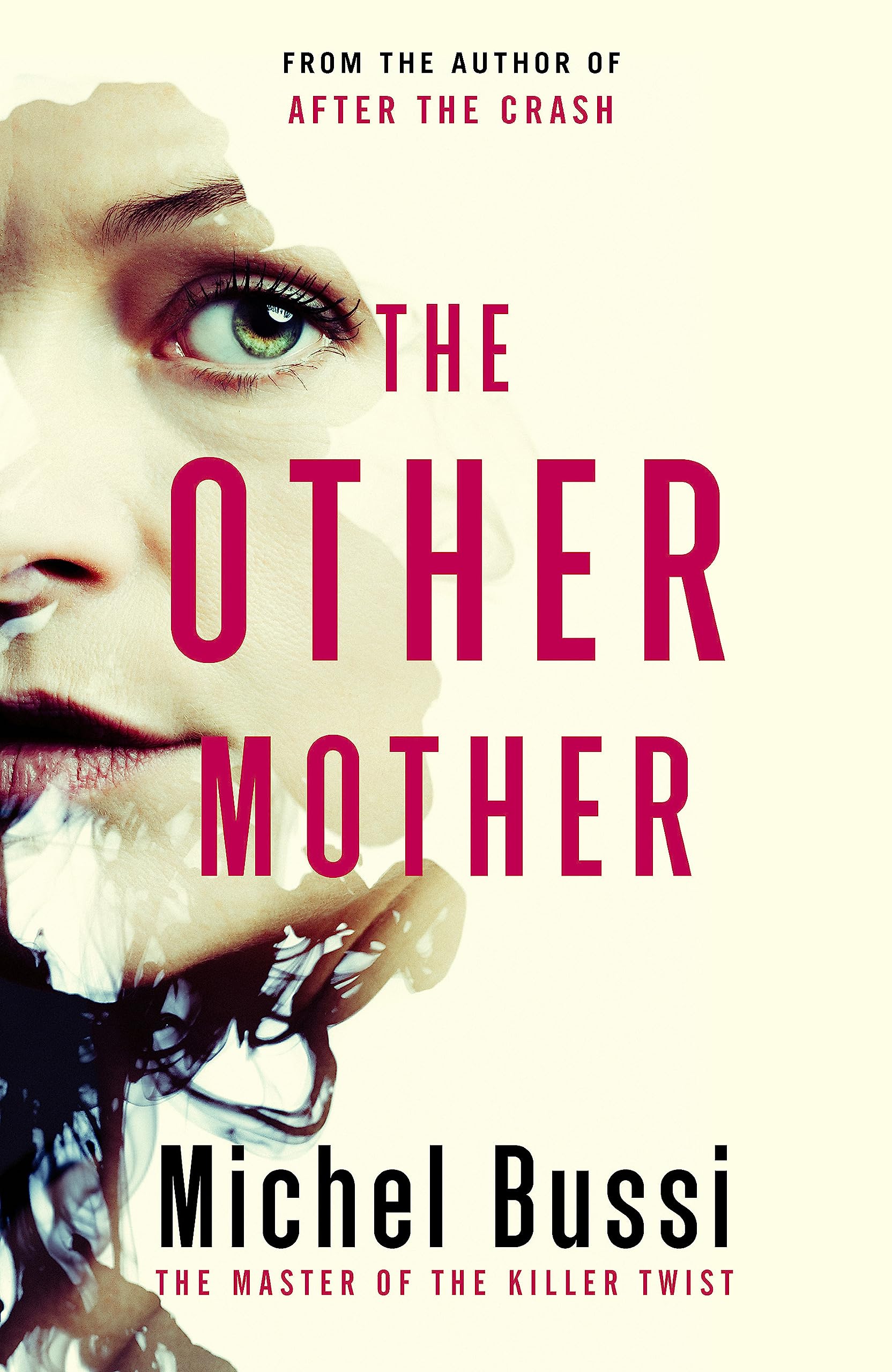 The Other Mother by Michel Bussi (Hardback Book)