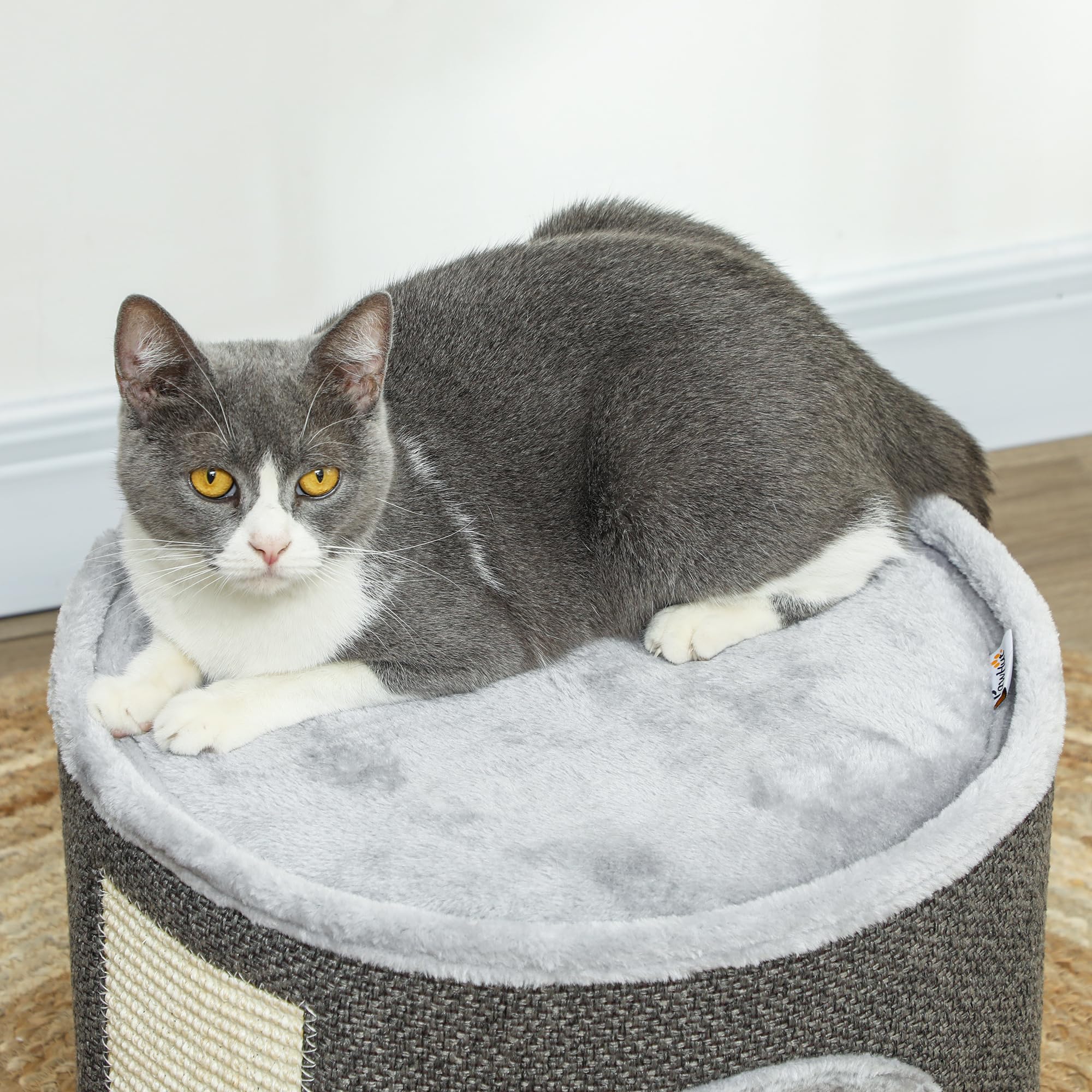 PawHut Tazzone tiragraffi alto 30 cm con grotta albero tiragraffi in sisal per gatti fino a 5 kg, bianco crema