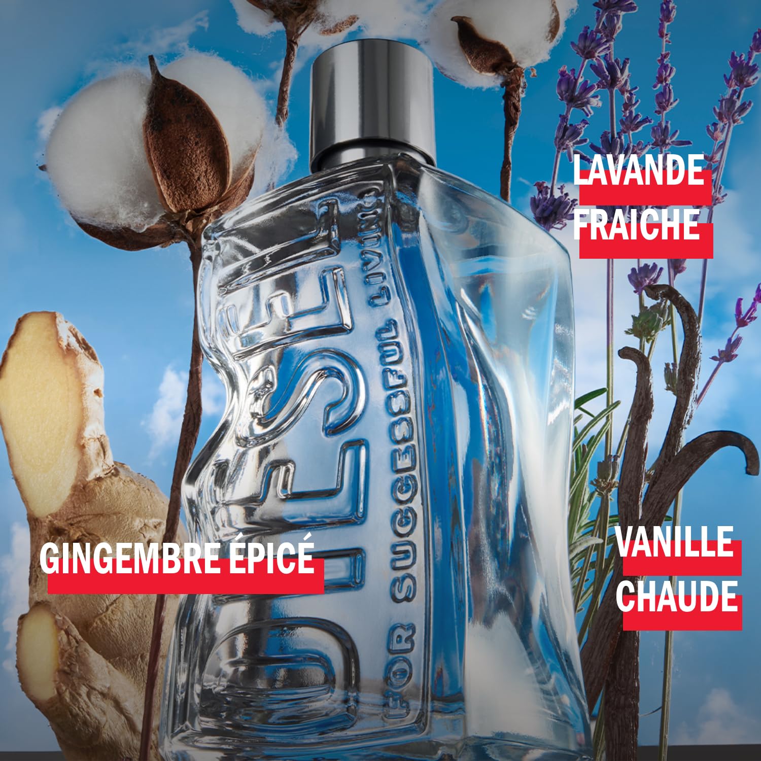 DIESEL D By Diesel - Eau De Toilette Homme - Fougère Ambrée - Gingembre, Accord Coton Denim & Vanille - Tenue Longue Durée - Spray Vaporisateur