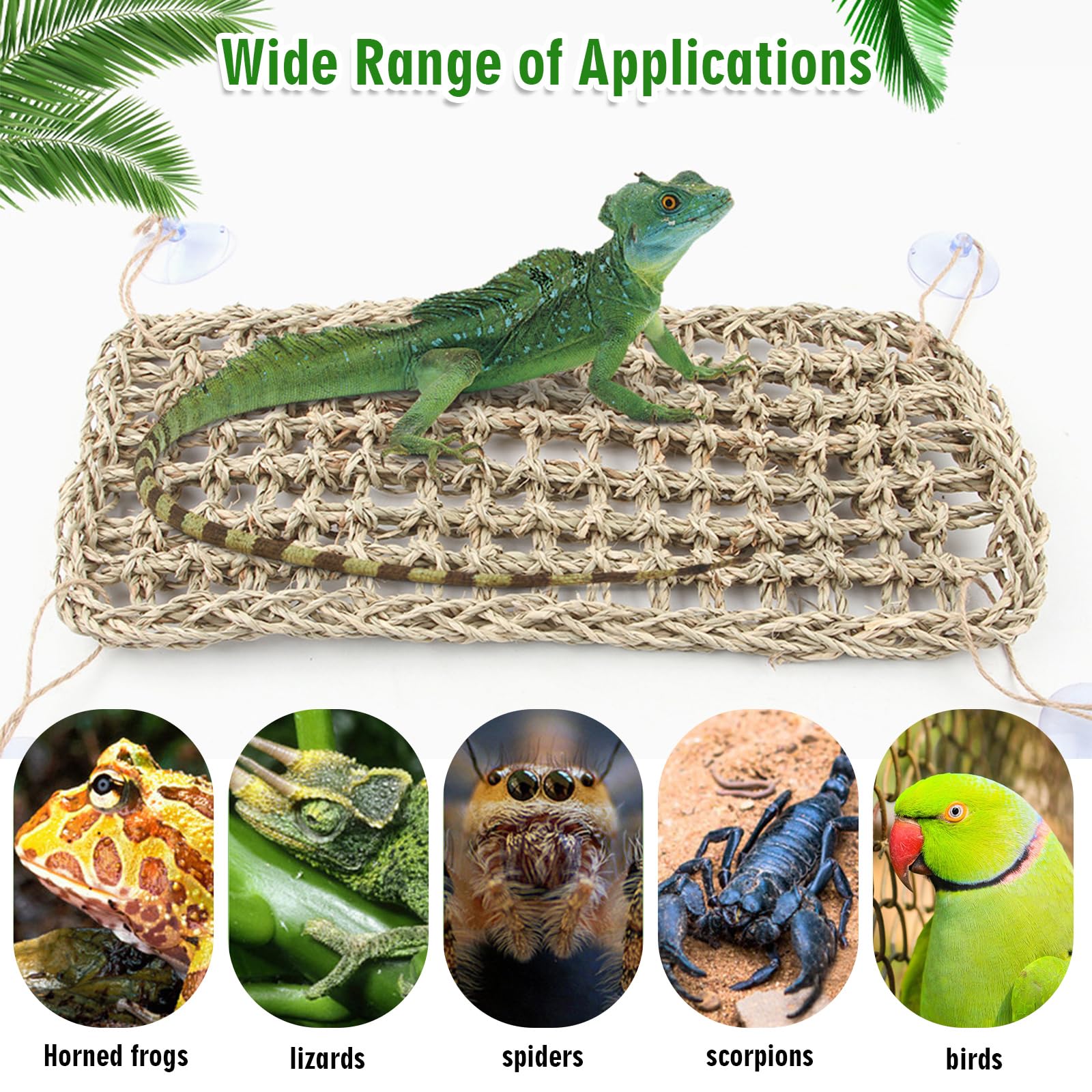 Hamac gecko avec réservoir de reptiles à suspendre pour terrarium - Feuilles artificielles pour lézards caméléons