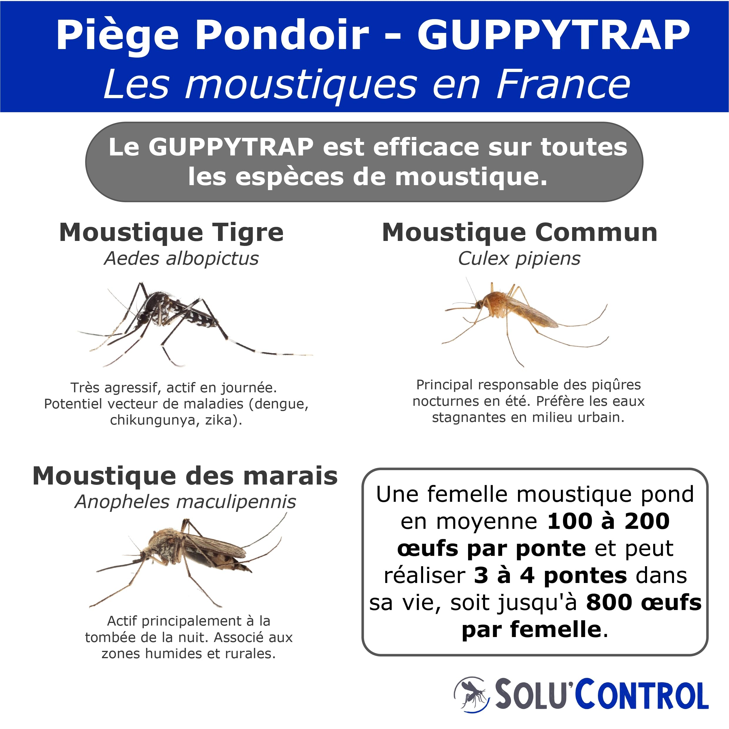 2 Guppy Trap + 2 coupelles, Piège Pondoir à Moustiques Écologique, sans Insecticide, sans Adhésif, Médaille d'argent Concours Lépine 2023, Fabriqué en France