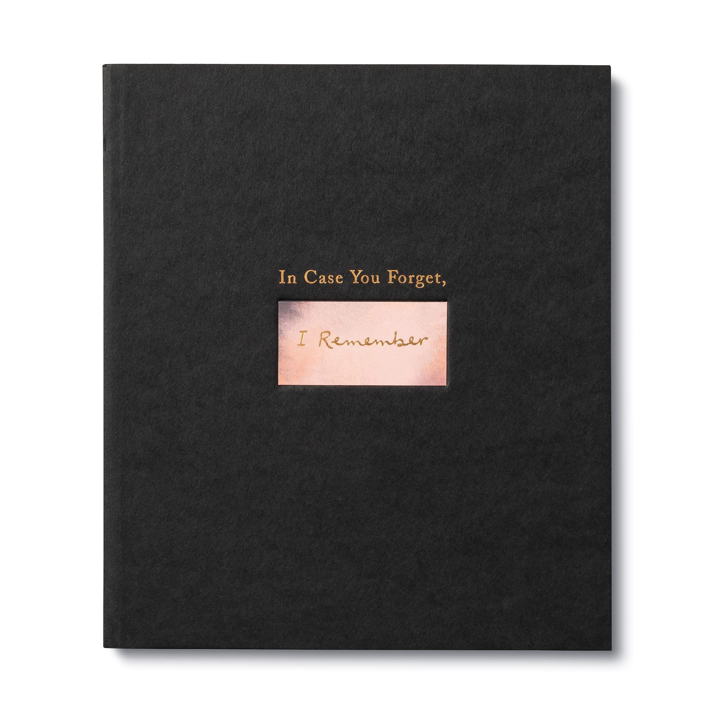In Case You Forget, I Remember: An Encouragement Gift Book to Support a Friend Dur