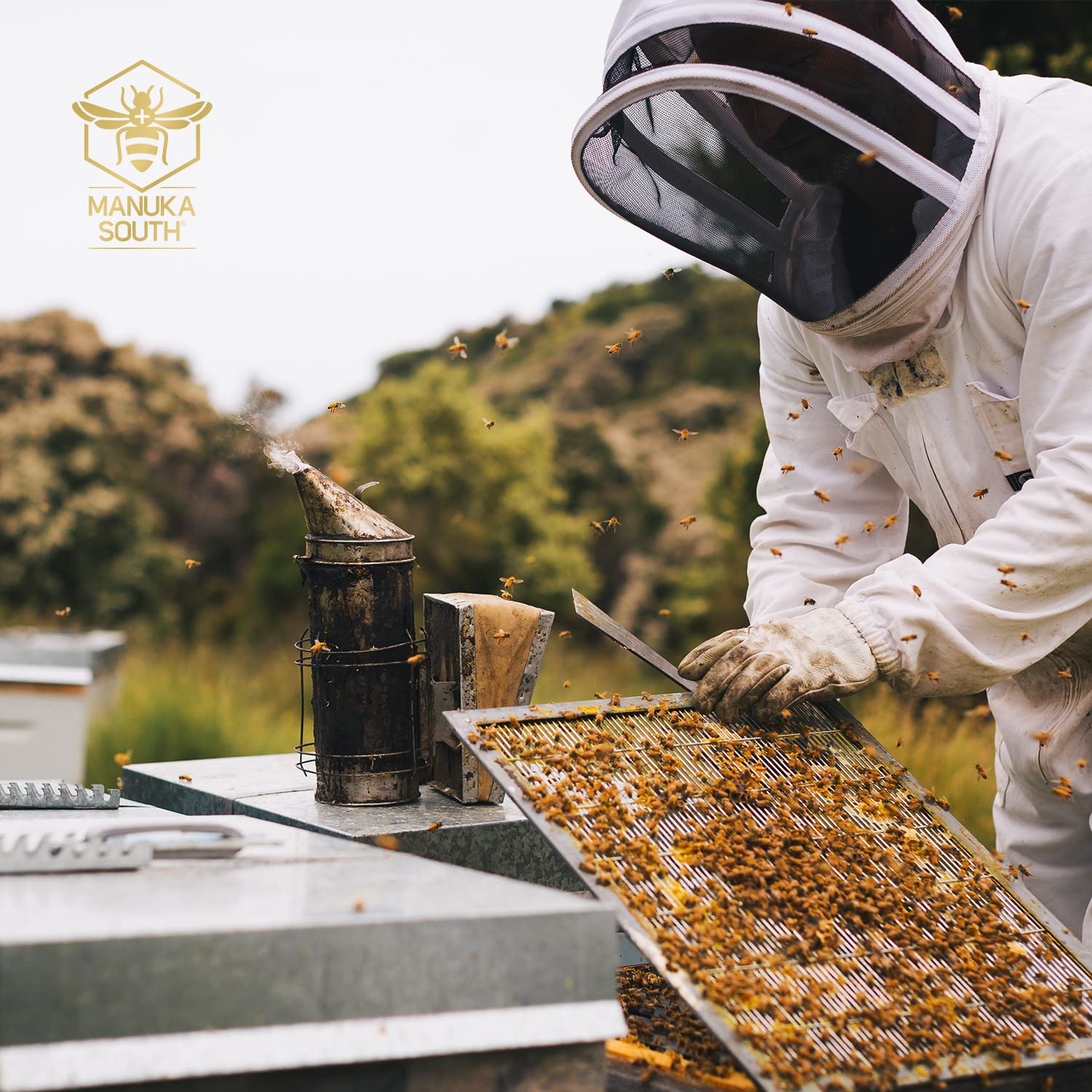 Manuka South Honig MGO 1122+ (UMF24+) 340g - Honigglas mit edlem Buchenholz Deckel - Premium Manuka-Honig aus Neuseeland mit Gold-Verpackung - roh und naturbelassen - exklusive Geschenkidee