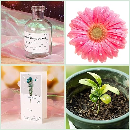 Miniatura 6 de 700 adornos de gotas de rocío de agua transparente, suministros para hacer tarjetas de CCOZN cuentas transparentes, gotas de agua, cuentas de resina