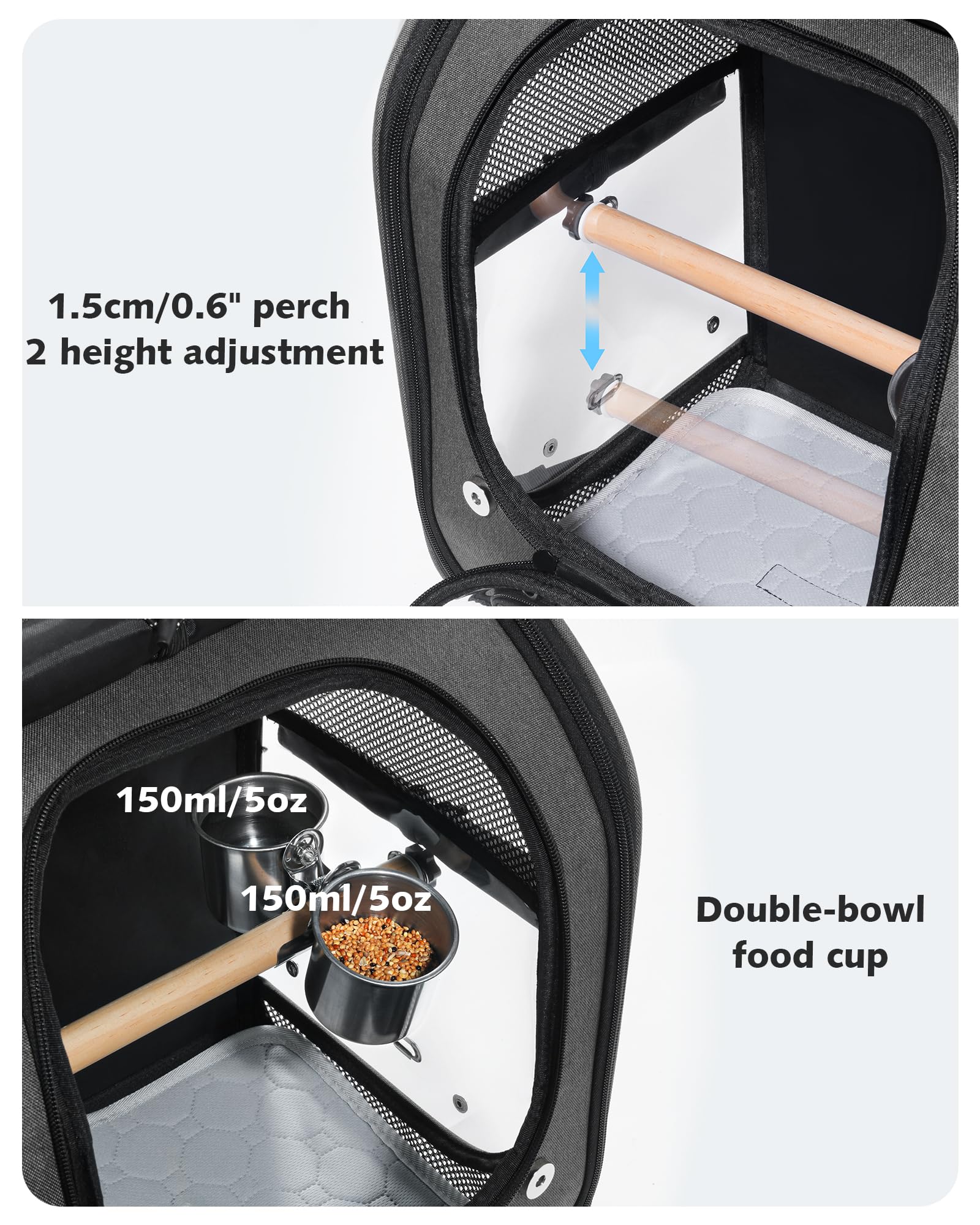 https://m.media-amazon.com/images/I/81u+kUC3pEL.jpg