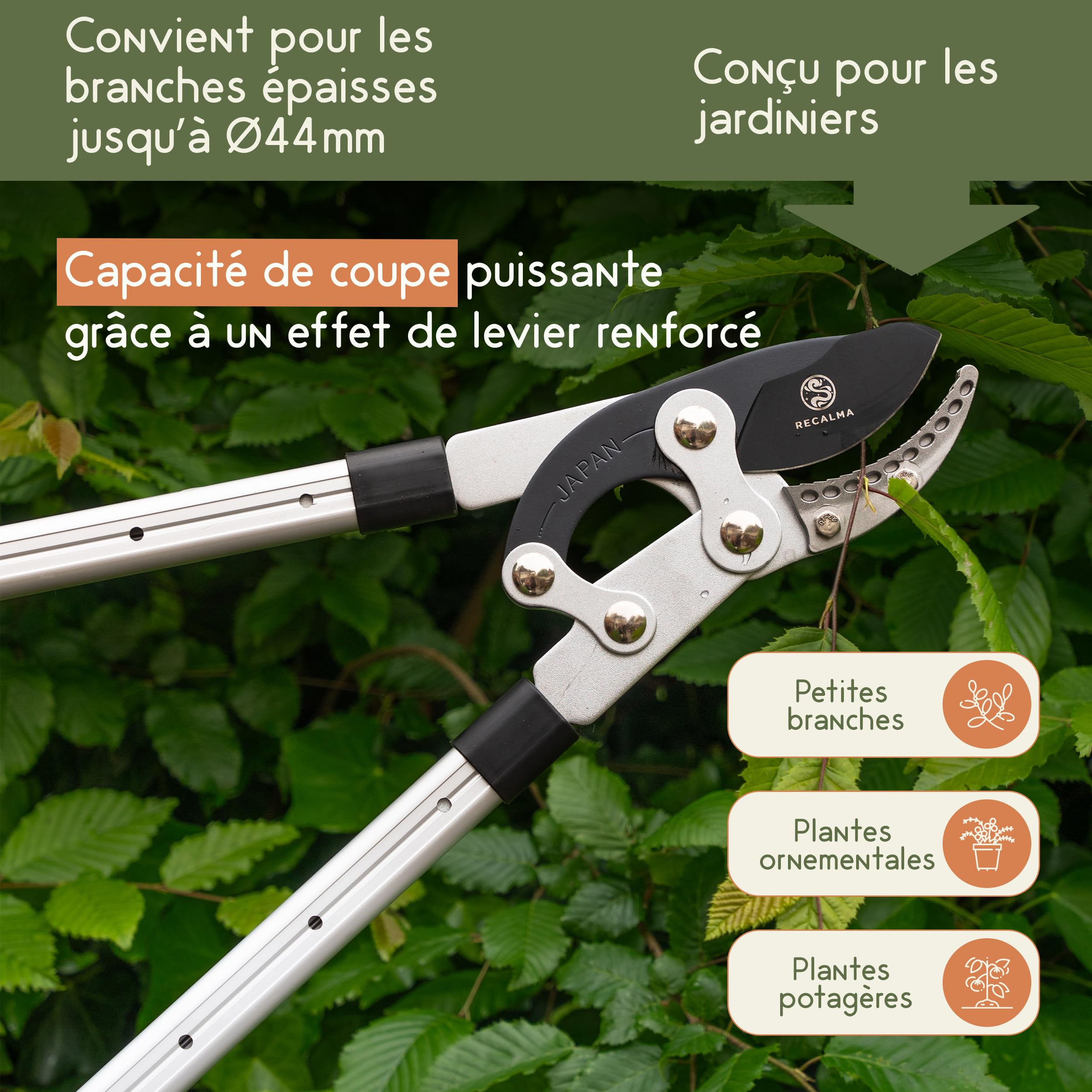 Sécateur télescopique, manche 50-82 cm, acier trempé, coupe branches >44 mm, sécateur réglable avec tête de couteau de requin