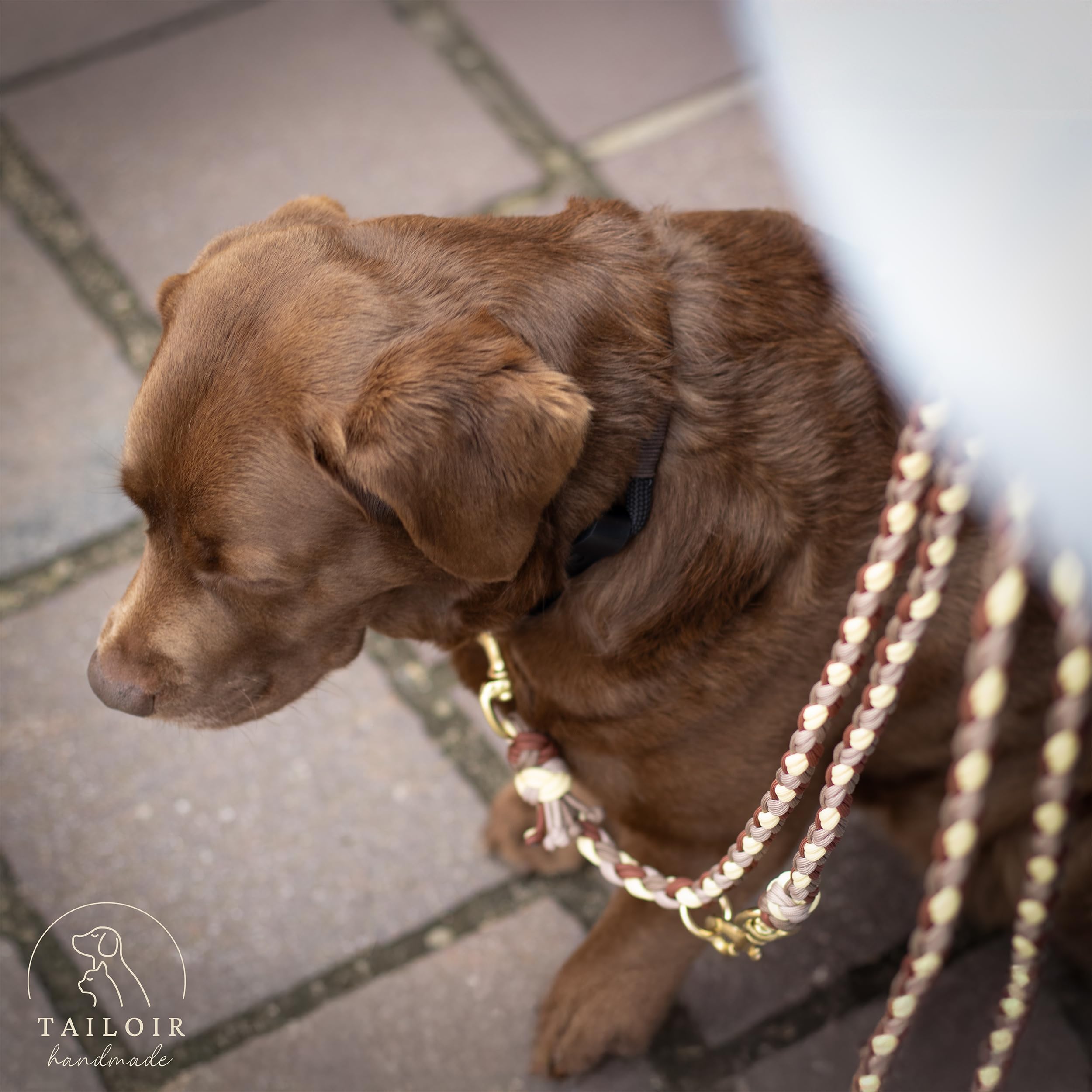 Hundeleine 2m geflochten - Leine Hund, Mittelgroße - Große Hunde, Leine verstellbar, Hundeleinen, Dog Leash Führleine, Bissfeste Hundeleine zum Umhängen, Trainingsleine, Freihandleine Paracord