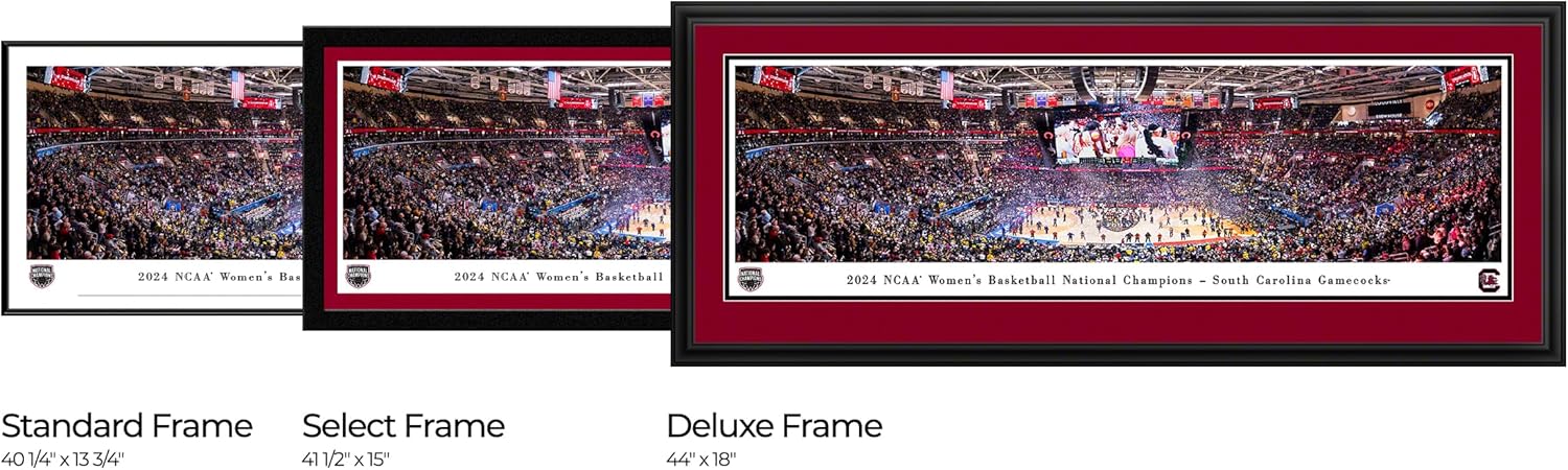 2024 NCAA Women's Basketball National Champions, South Carolina - Double Mat, Deluxe Framed Picture by Blakeway Panoramas (44"W x 18"H)
