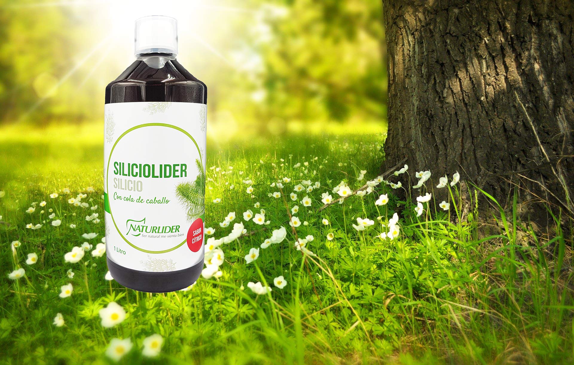 Naturlíder - Siliciolíder - Complemento con Silicio y Cola de caballo - Favorece la producción de colágeno - 1 litro