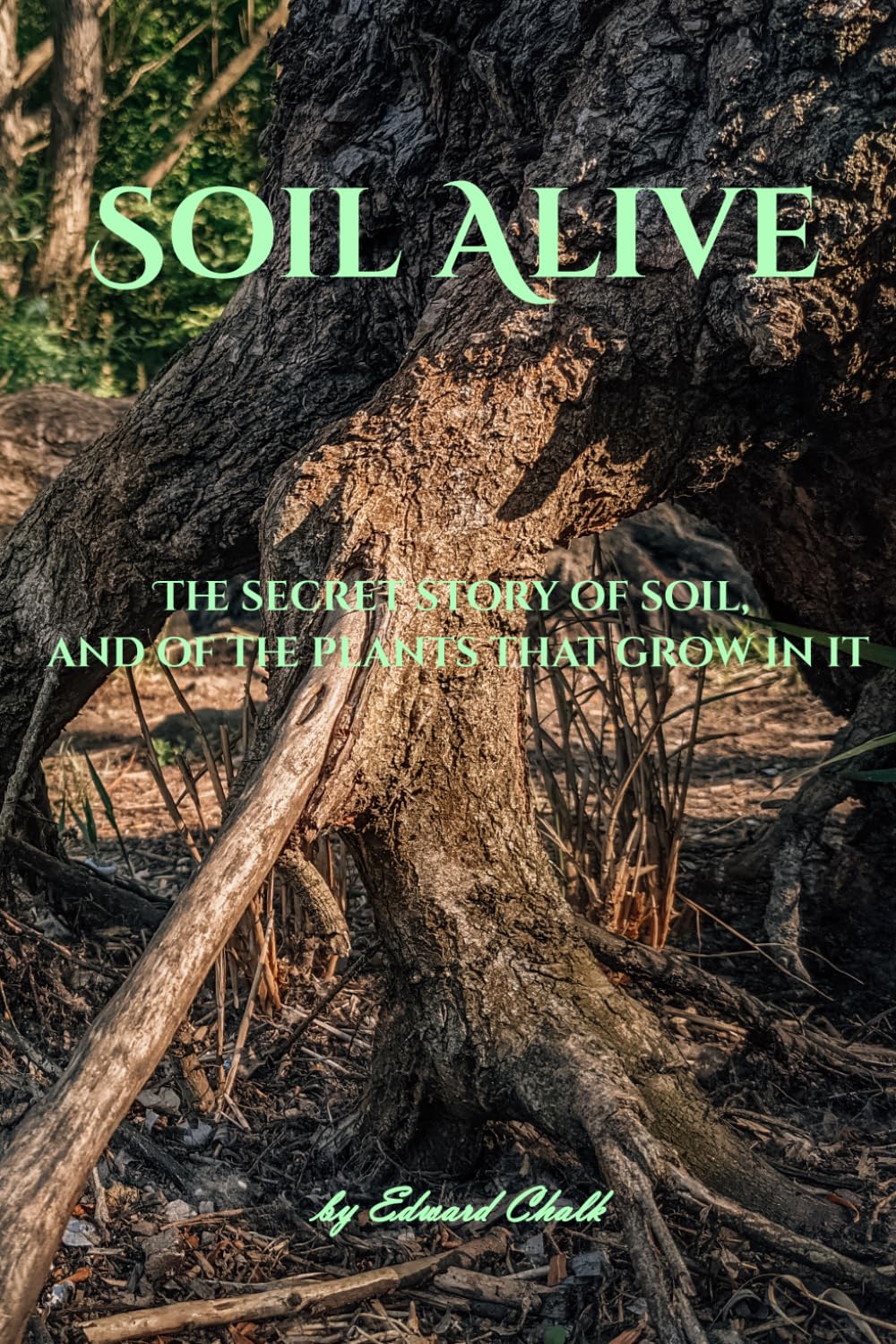 Soil Alive: The secret story of soil, and of the plants that grow in it