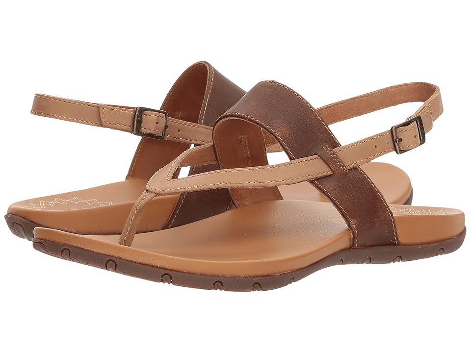 chaco kaleido katydid