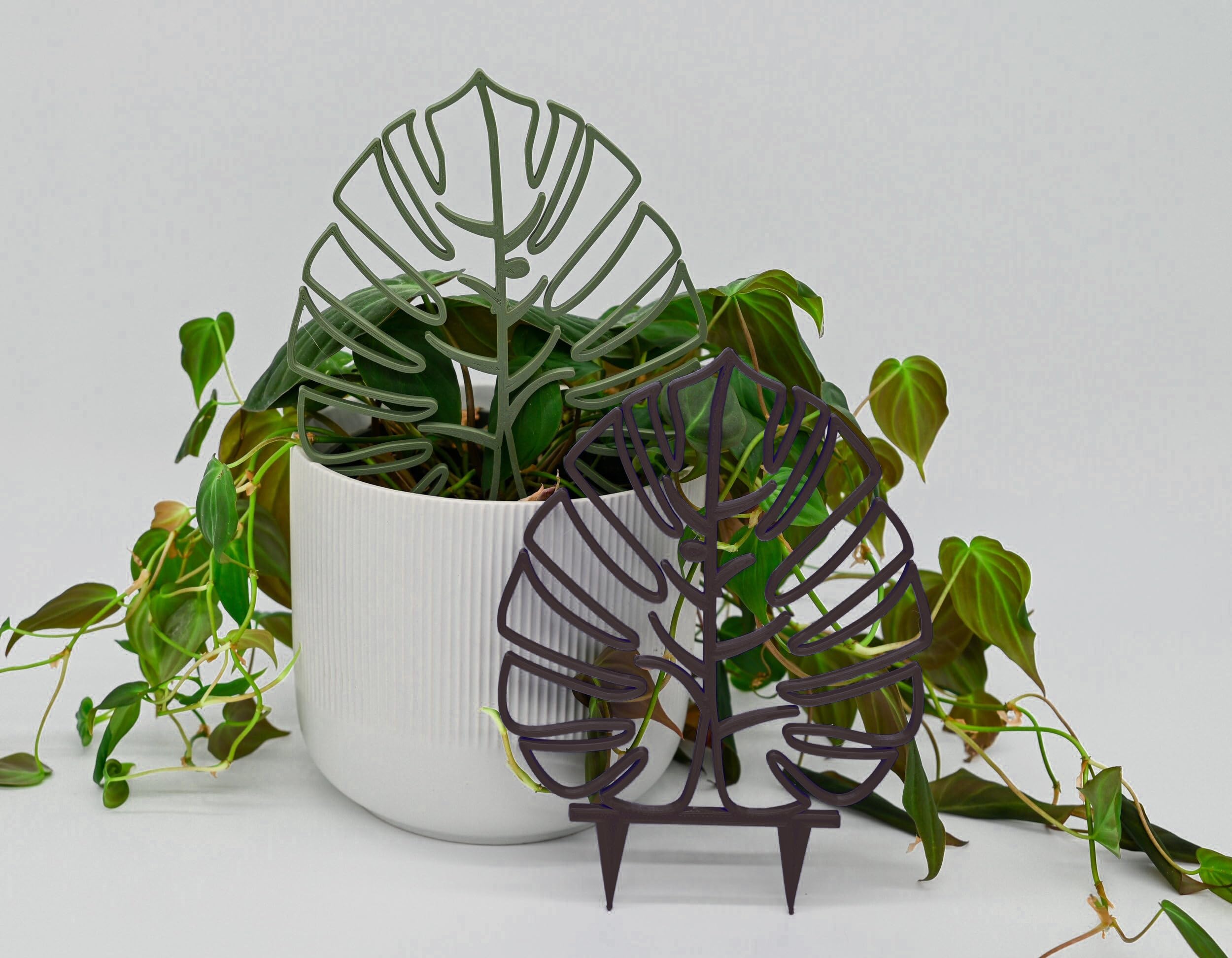 JAZLOG Monstera Leaf Trellis for 4 or 6 Inch Planter, Plant Accessories, Climbing Vining Plants, Plant Pot Decor, Pack of 02 Black (B0CVFK1GVX) Amazon Price History, Amazon Price Tracker