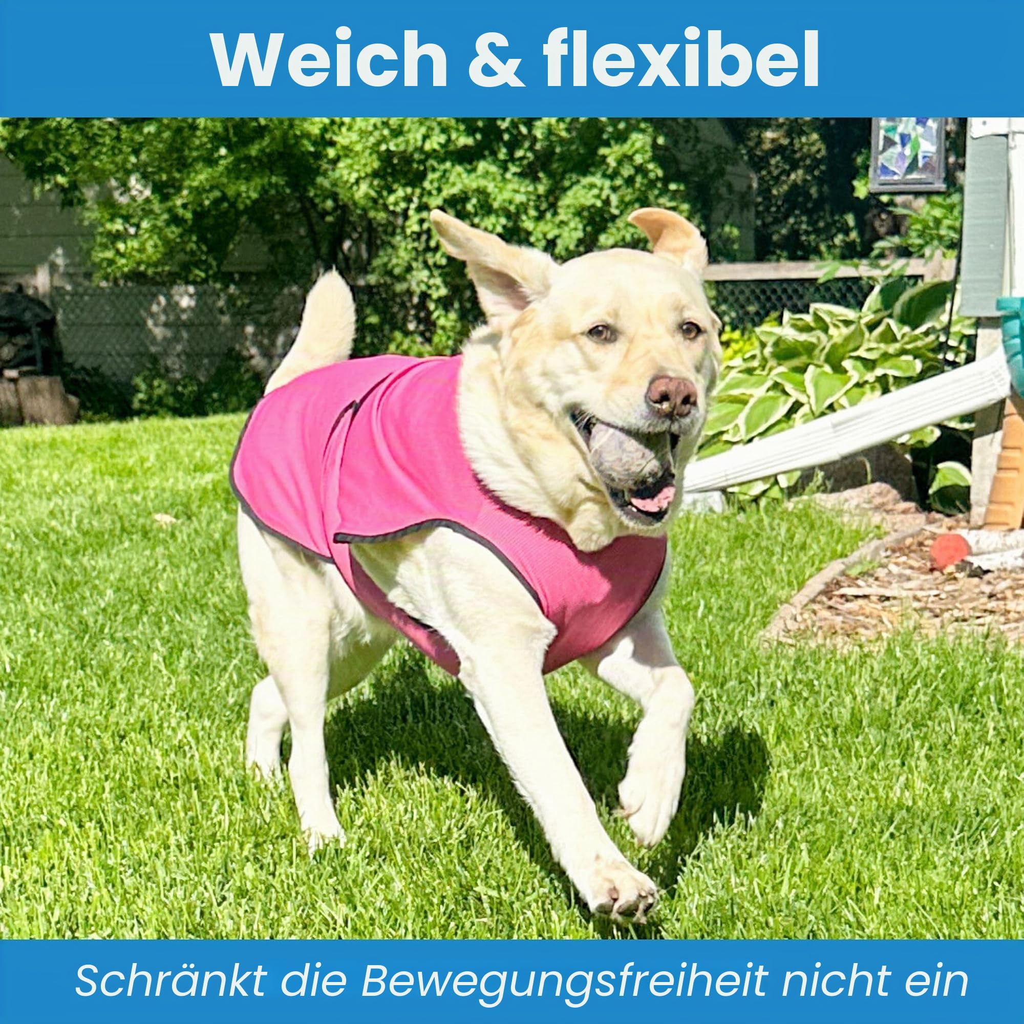 Kühlweste für Hunde, leichte Jacke mit verdunstender Kühl-Mikrofaser-Technologie, UV-Schutz-Shirt für Strand, Größe für kleine, mittelgroße und große Hunde (L, Dunkelblau)