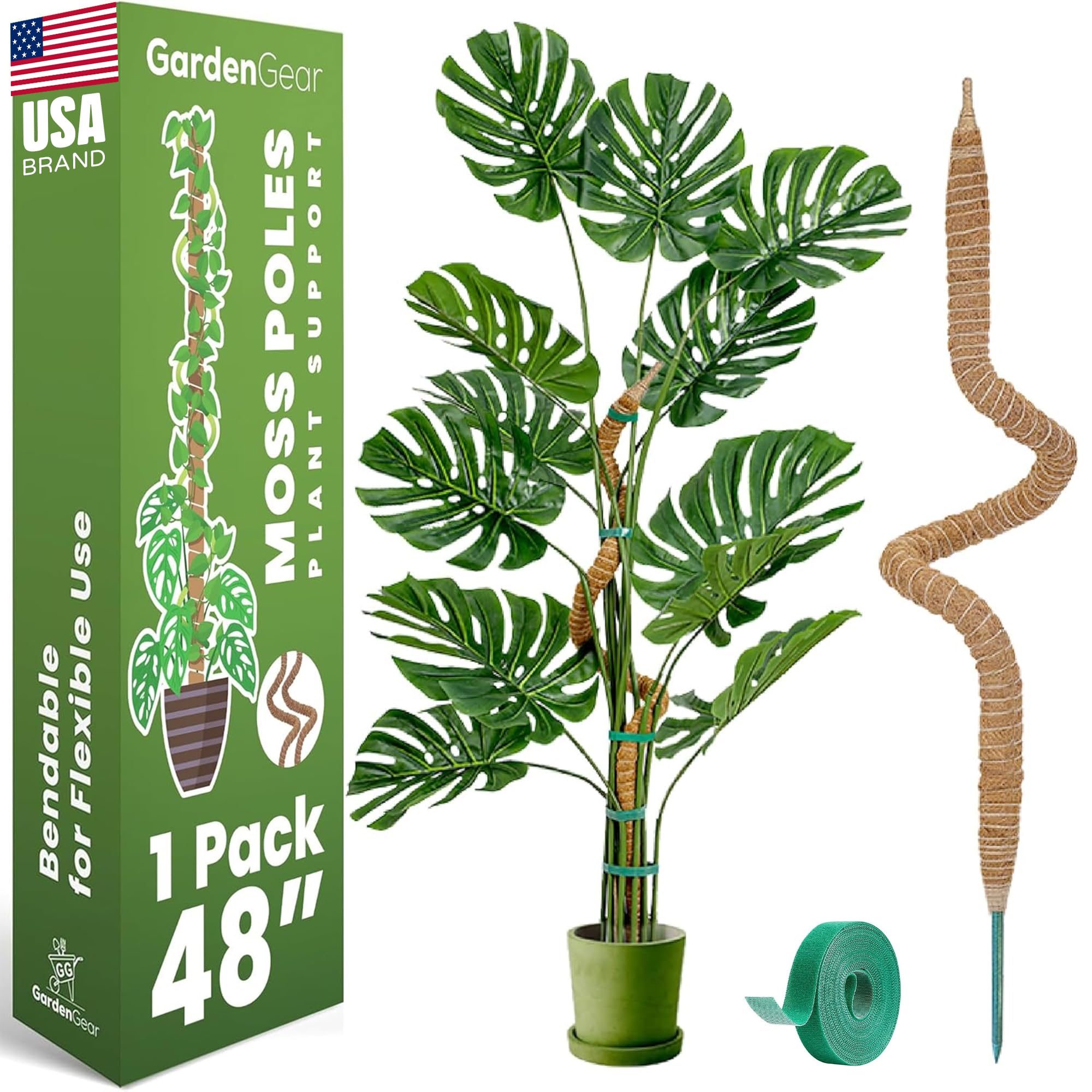 mcdowell philodendron Runo Plants | Indoor Plants