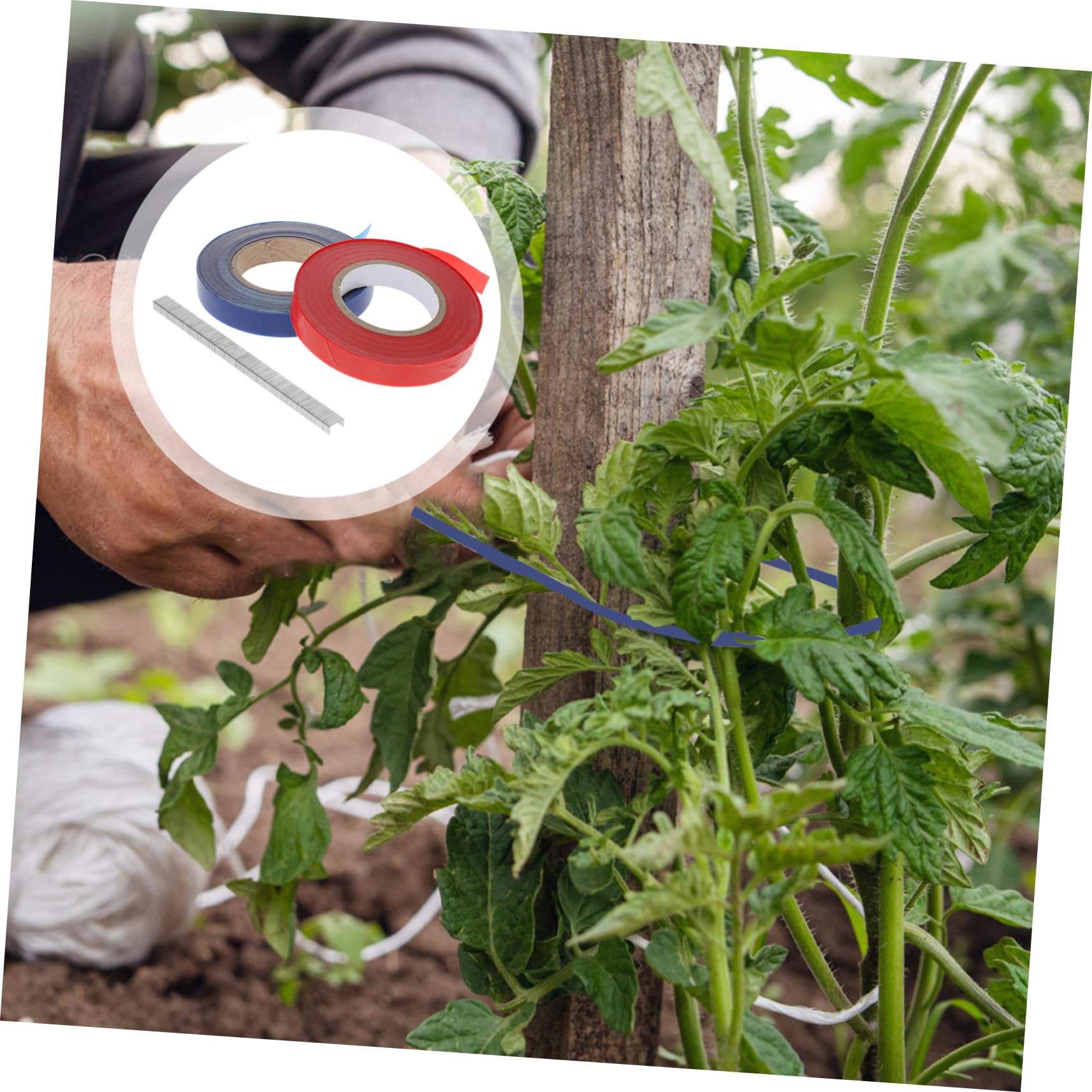 20 Rollen Teiliges Gartenpflanzen Bindeband mit Wetterfestem Dehnbarem PVC Band und Heftklammern Wiederverwendbare Pflanzenbinder für Äste Blumen Kletterpflanzen und Bäume Flexibel