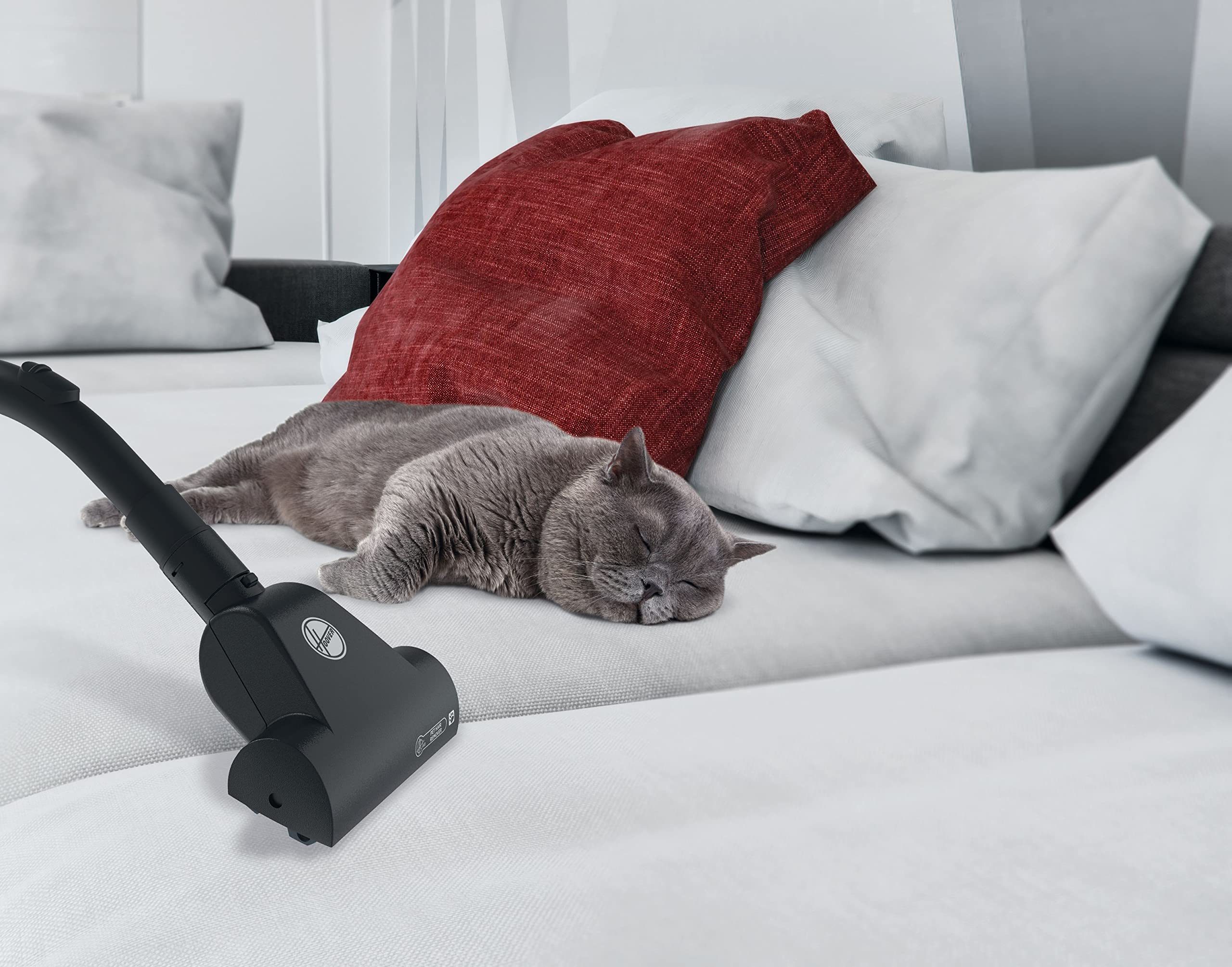 Akitas C11 900W Stofzuiger Met Zak 7 M Netsnoer & 10 Werkbereik, 70 DB Stil Bedrijf Inclusief Extra Vloerborstel Instelbare Zuigkracht Grote Capaciteit Voor Harde Vloeren Tapijten 3007624329