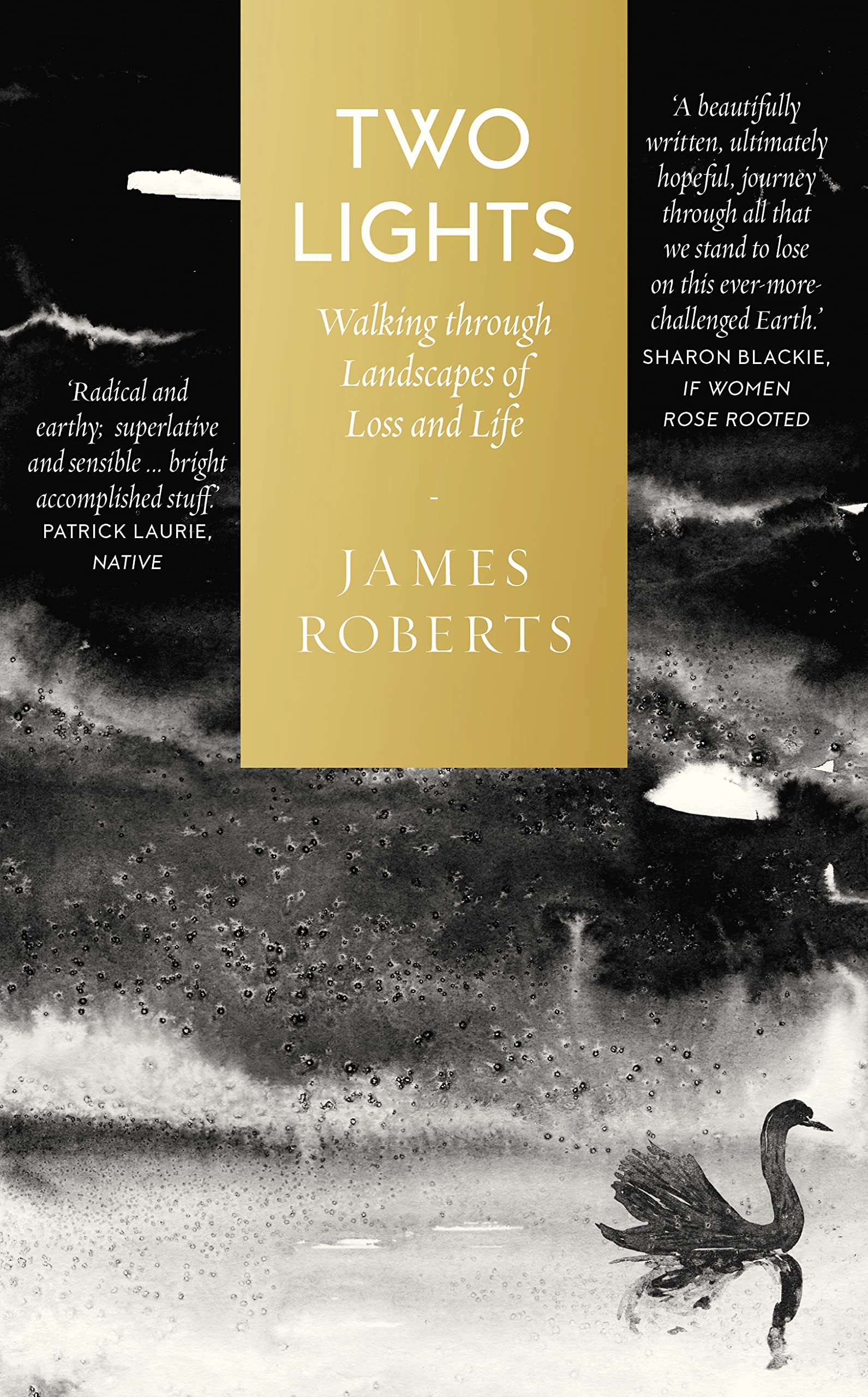 Two Lights : Walking Through Landscapes of Loss and Life by James Roberts ...
