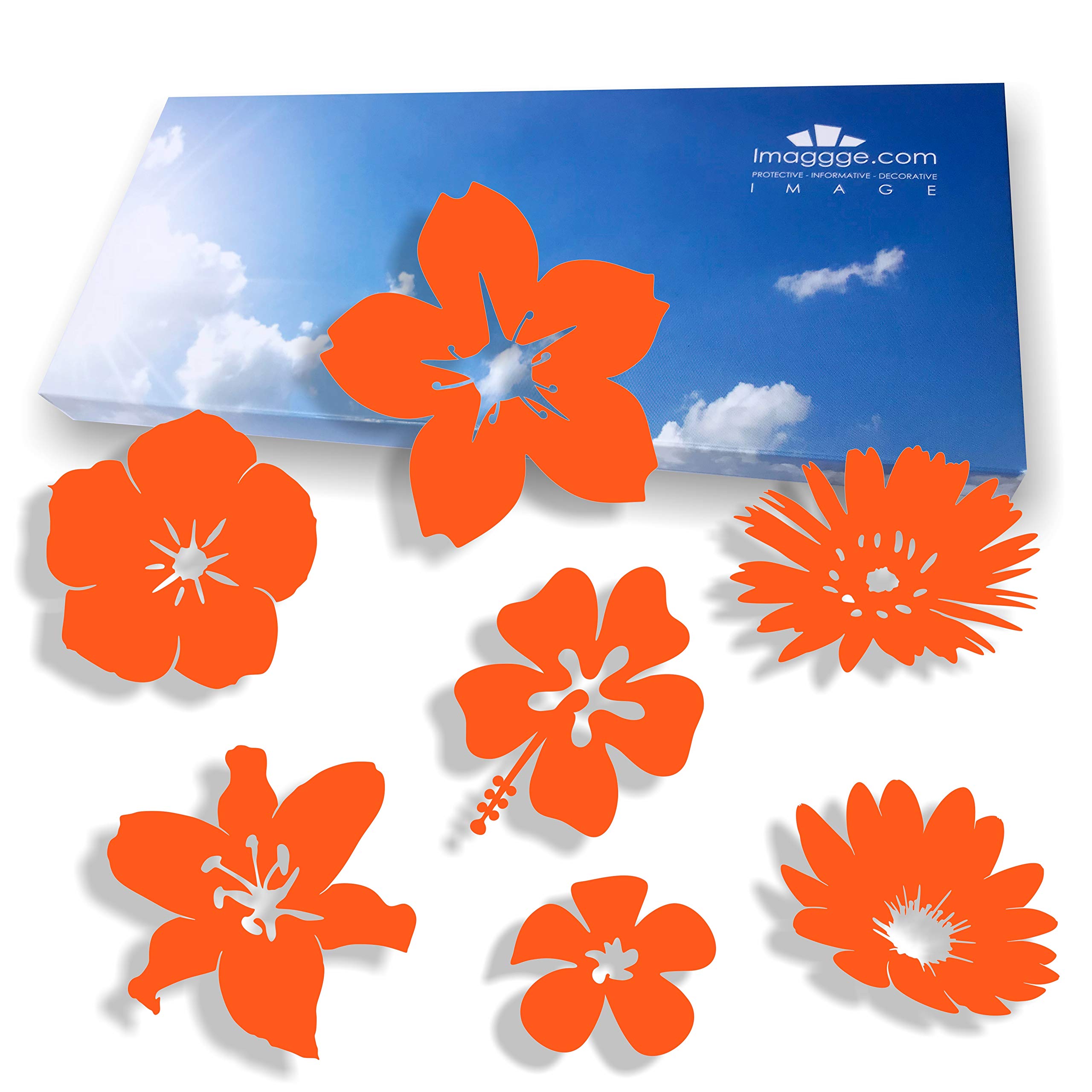 Window Protection Stickers - Avoid Bird, Pet and People Collisions and Strikes on Window Glass - Set of 38 Stickers - Color: Orange