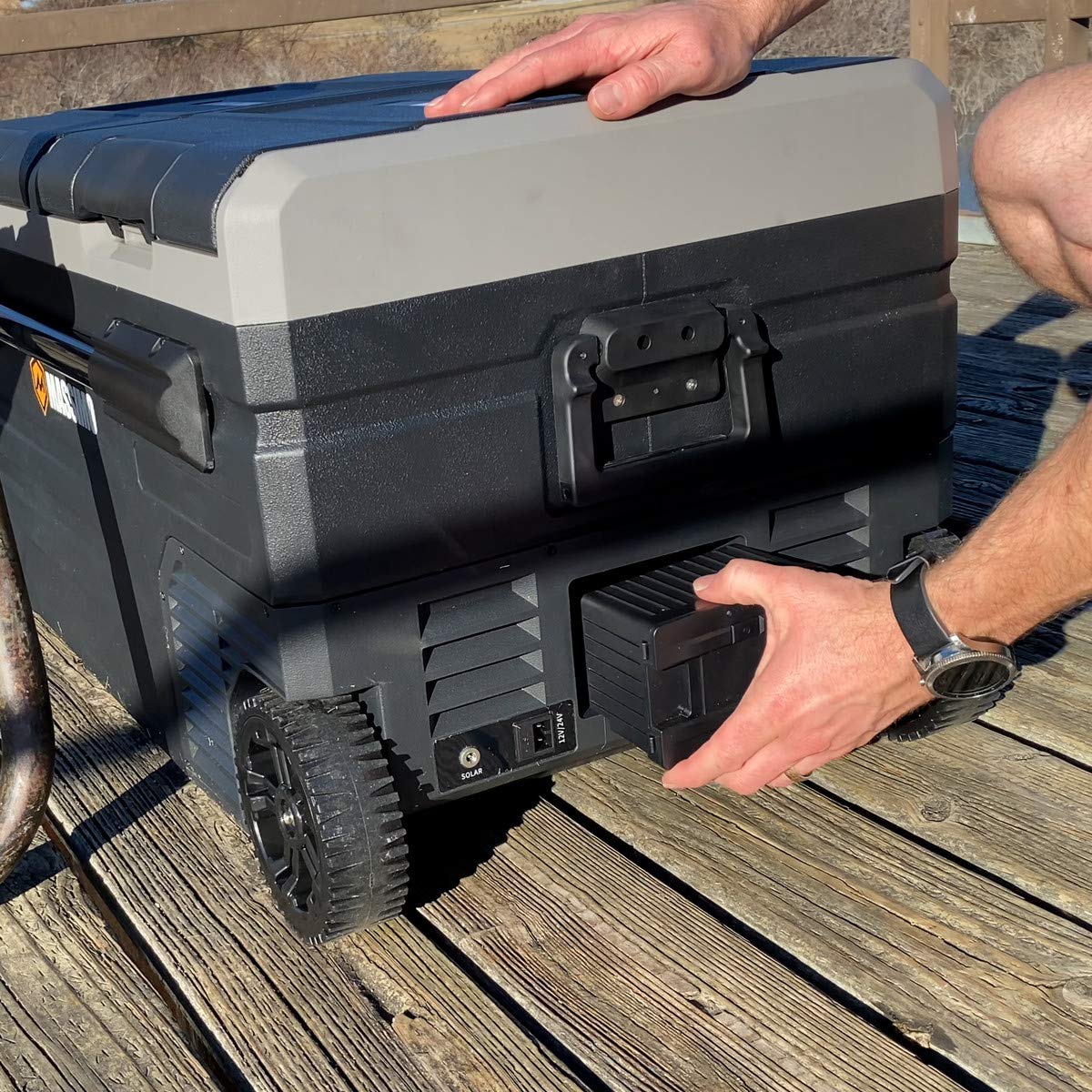 Amazon.com: Massimo Motor E-Kooler AC/DC Travel Cooler Fridge for