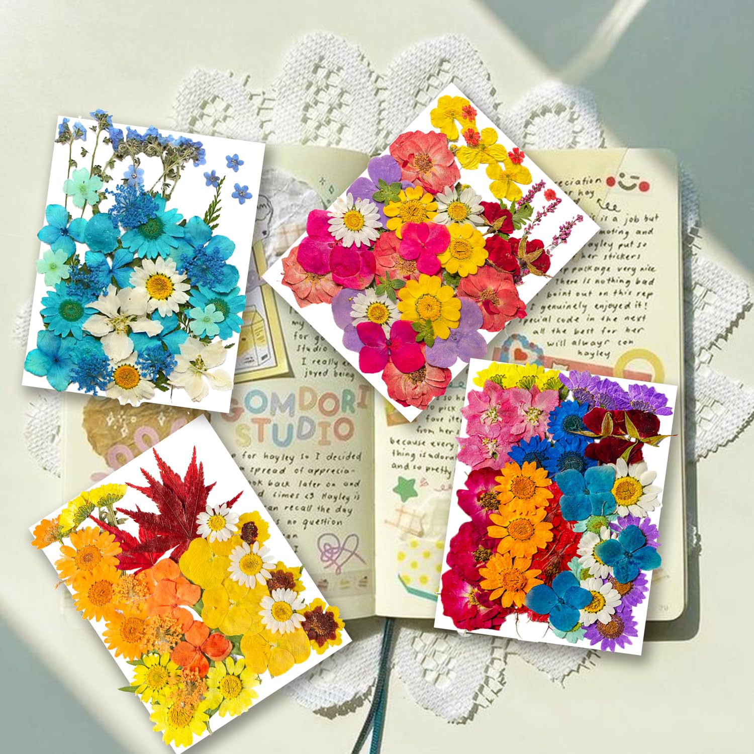 Amazon.co.jp: 141個 本物のドライプレスフラワー 樹脂型用 ドライ