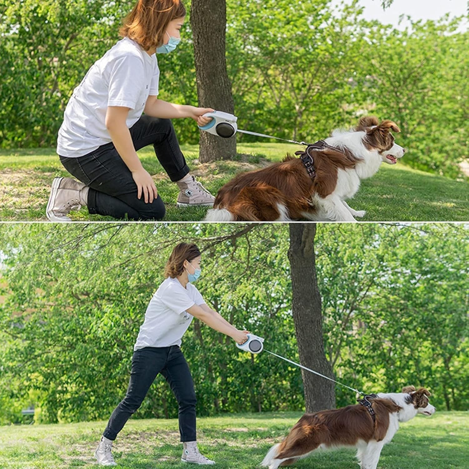 Cavo Retrattile per Cani 5 in 1, Guinzaglio Estraibile 4M per Cane Grande Medio Piccolo Fino a 50kg con Ciotola, Torcia, Sacchetti per Feci, Blocco e Freno a Un, Green