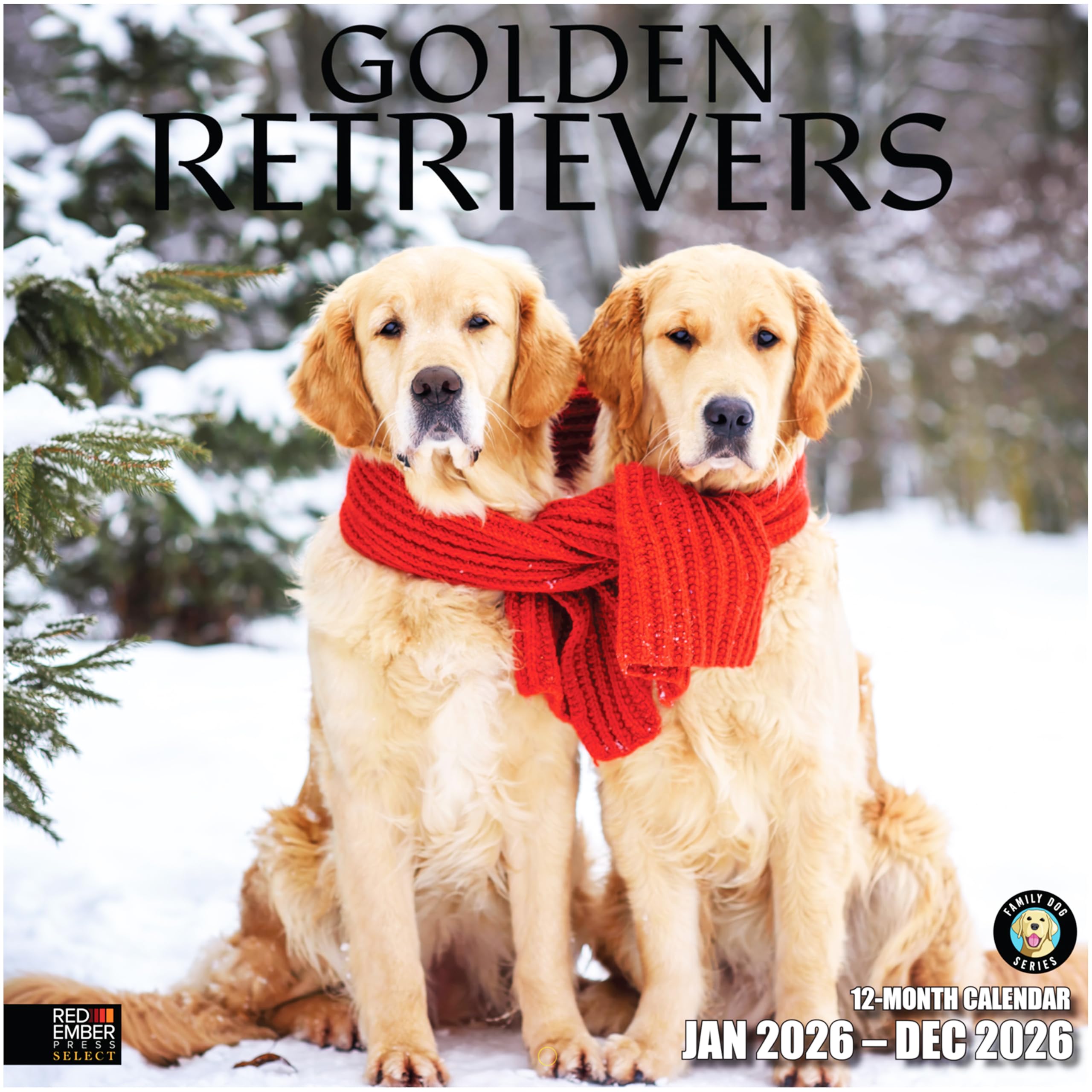 RED EMBER Select - Golden Retrievers 2026 Wall Calendar 12 Month | 12" x 24" Open | Thick &amp; Sturdy Paper | Giftable| Cute Puppy Dog Calendar 2026