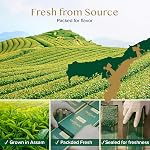 VAHDAM, Assam Feuilles de thé noir (340g | 170+ Coupes) GMO, Sans gluten STRONG, MALTY & RICH | Pure Inblended Single Origin Black Loose Leaf Tea.