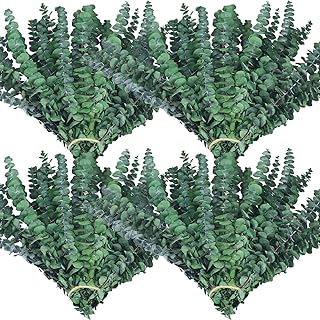 60 Stems Preserved Real Eucalyptus Bunches, Lifelike Natural Green Eucalyptus Leaves for Shower, Maintenance-Free