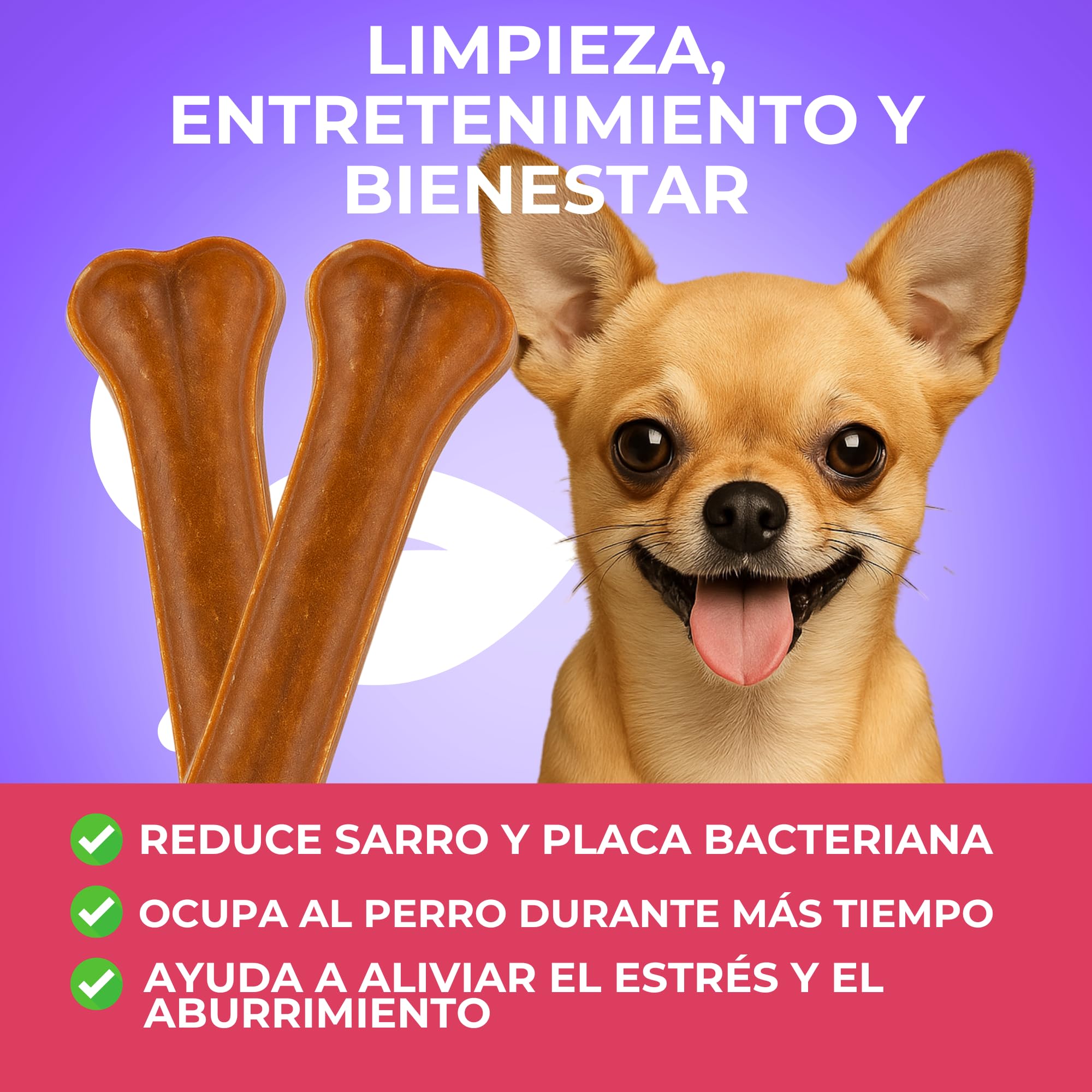 MOLY Pack 50 Huesos Prensados para Perros 8 cm | Snack Natural para Cachorros y Razas Pequeñas | Refuerza Salud Dental y Encías | Bajo en Grasa | Ocupación Prolongada y Segura