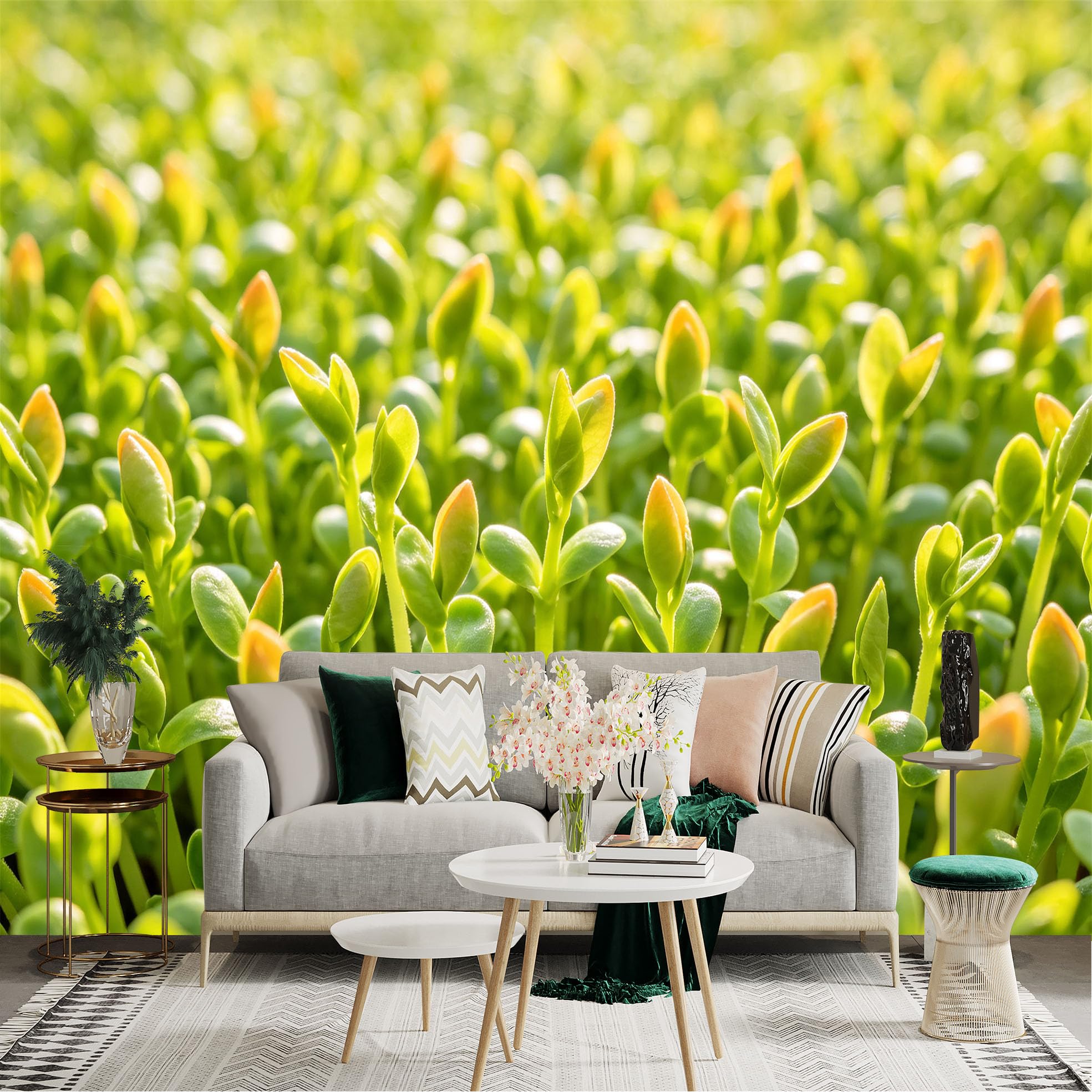 Lnzczhyre Dbh260521797 Custom Size Wall Sticker Mural， Fresh Green Microgreens， Vibrant Sprouting Plants， Nature Botanical Macro， For Wall Decoration， Peelandstick Wall Decals.