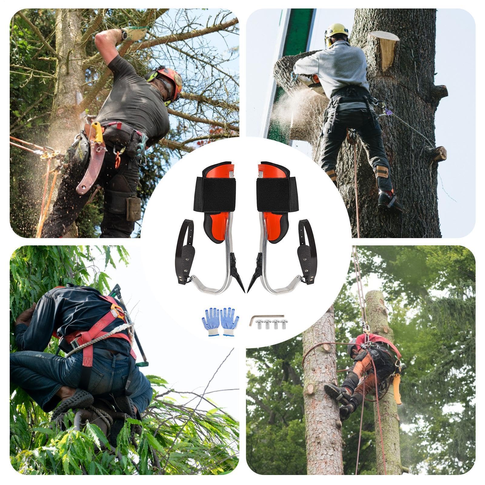 Pointes pour Grimper aux Arbres | de Crampons Robustes en Aluminium
