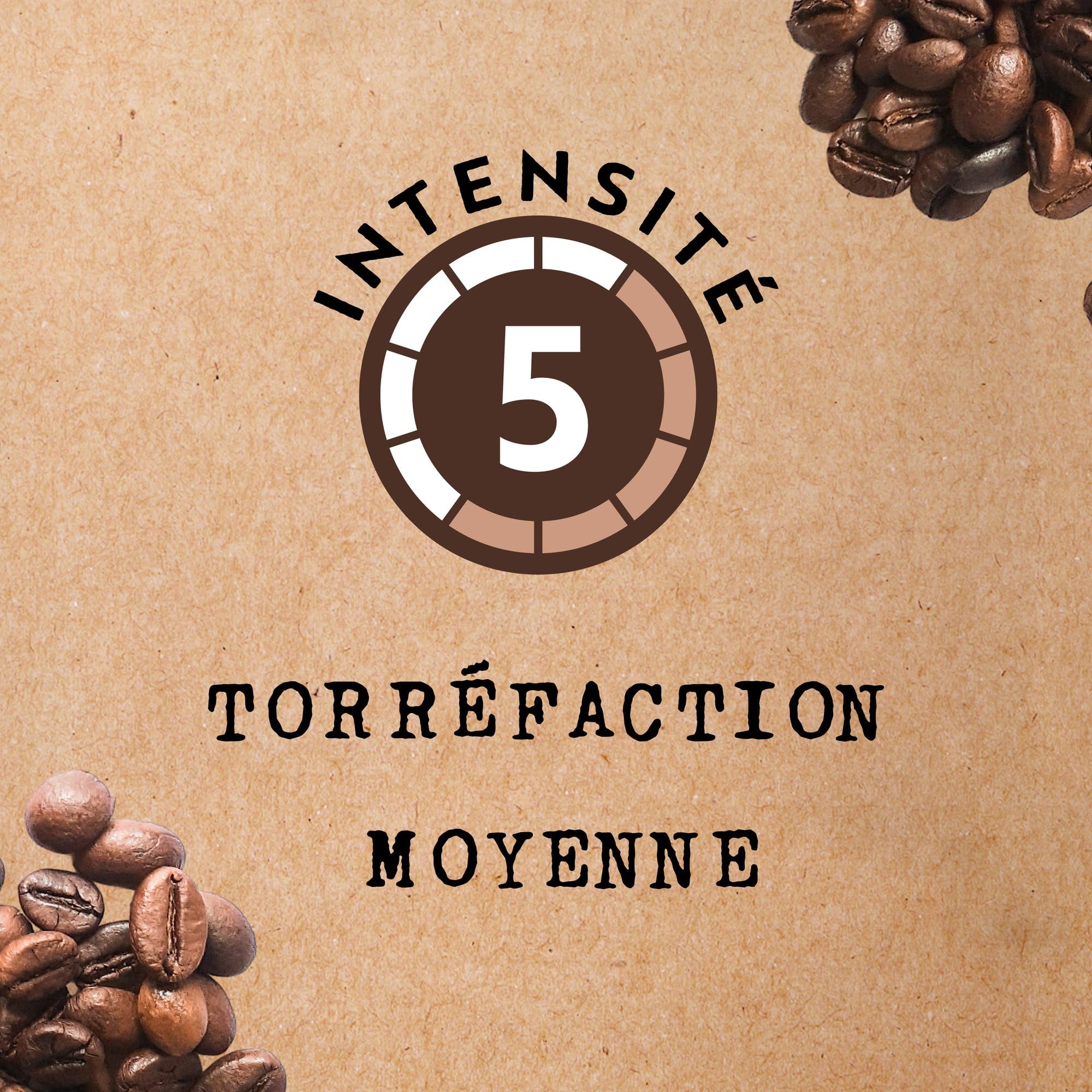 Cafés Méo - Café en Grains Moka d'Ethiopie Pur Arabica - 3 kg - Intensité 5/10 - Arômes Authentiques, Suave, Fruité et Floral - Lot de 6 x 500 gr