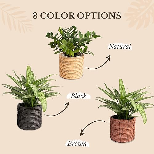 Miniatura 6 de Juego de 2 macetas de jacinto de agua para interiores para plantas, flores, suculentas, macetas de canasta, cubierta decorativa para macetas