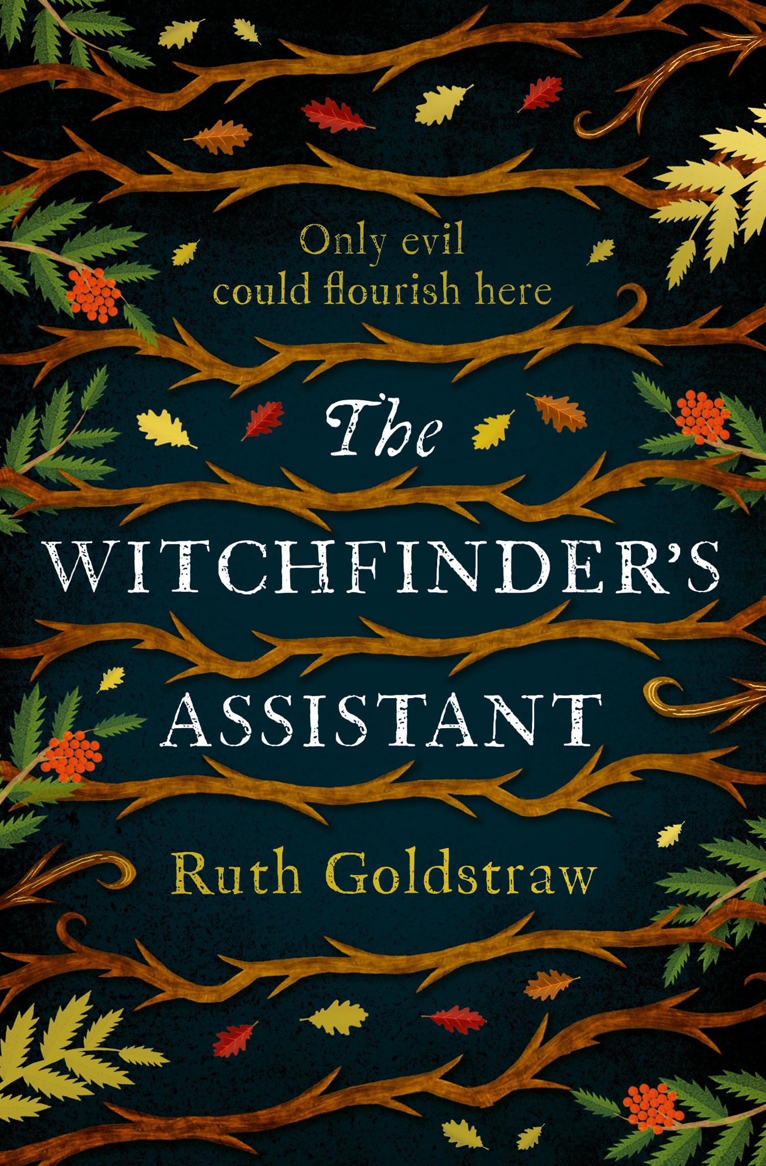 The Witchfinder’s Assistant: A haunting historical mystery novel about the witch trials – perfect for reading this Fall 2025