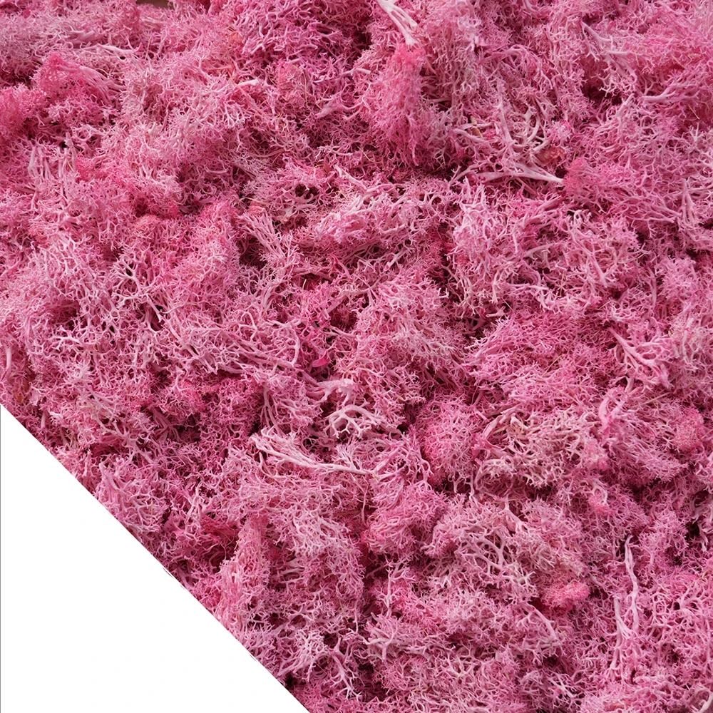HZLXF1 Artificial Green Plants Eternal Moss,DIY Crafts Grass Home Room Decor(Pink,50g)