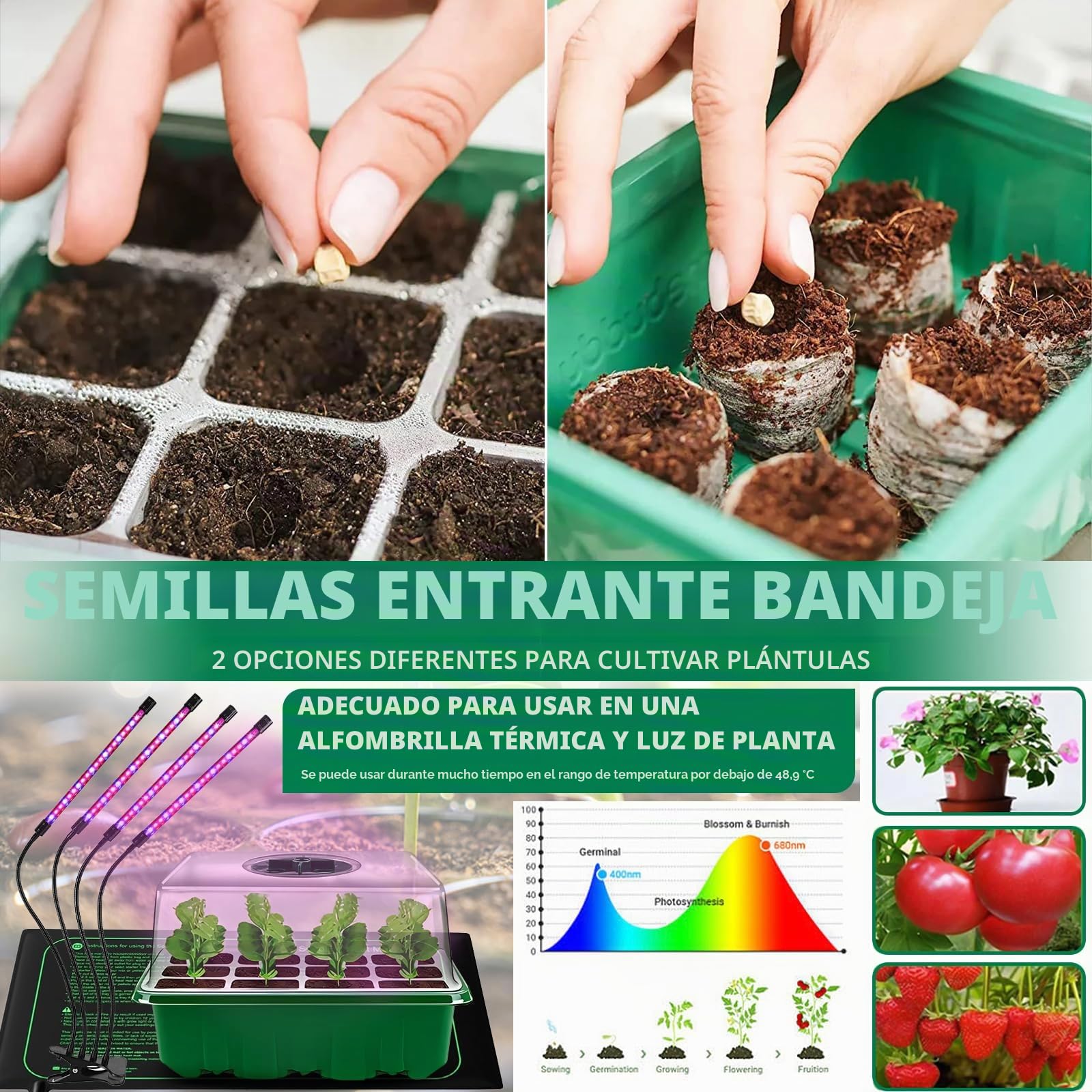 MOYKSRR 10Pcs 120 Agujeros Bandejas Semilleros de Germinacion, Bandejas Semilleros, Mini Invernadero, Plántulas Bandejas de Arranque Invernadero Bandeja de Cultivo con Domo de Humedad Ajustable